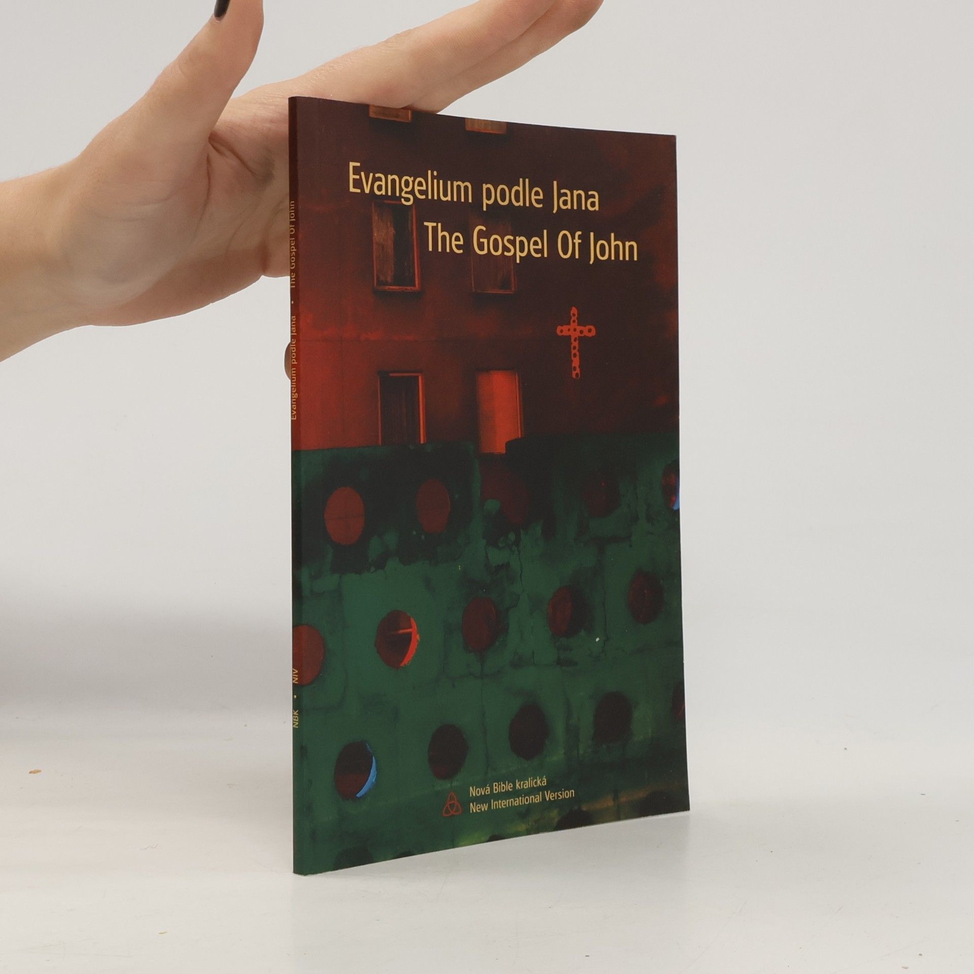 Autorenkollektiv Evangelium podle Jana / The Gospel of John