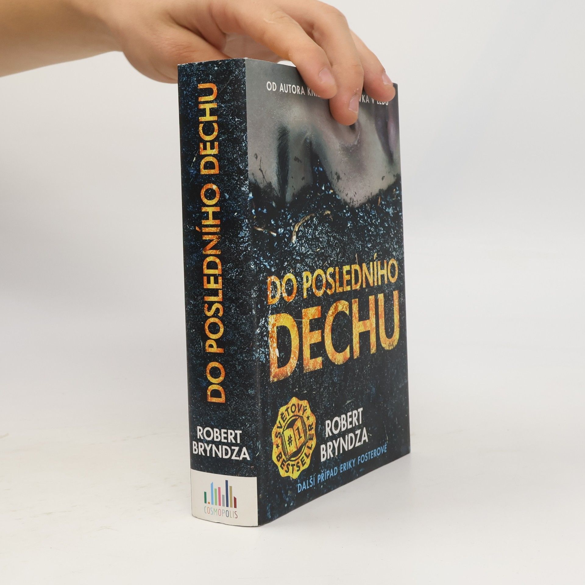 Robert Bryndza Do posledního dechu