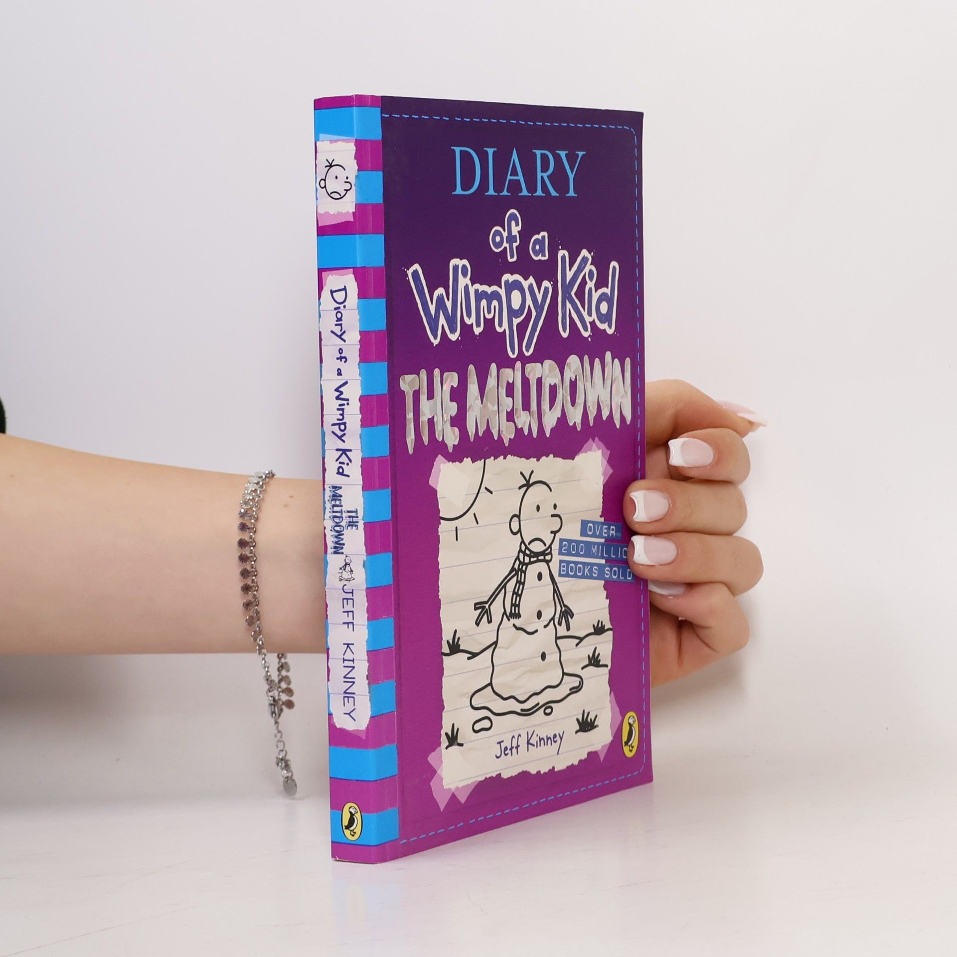 Jeff Kinney Diary of a Wimpy Kid. The meltdown