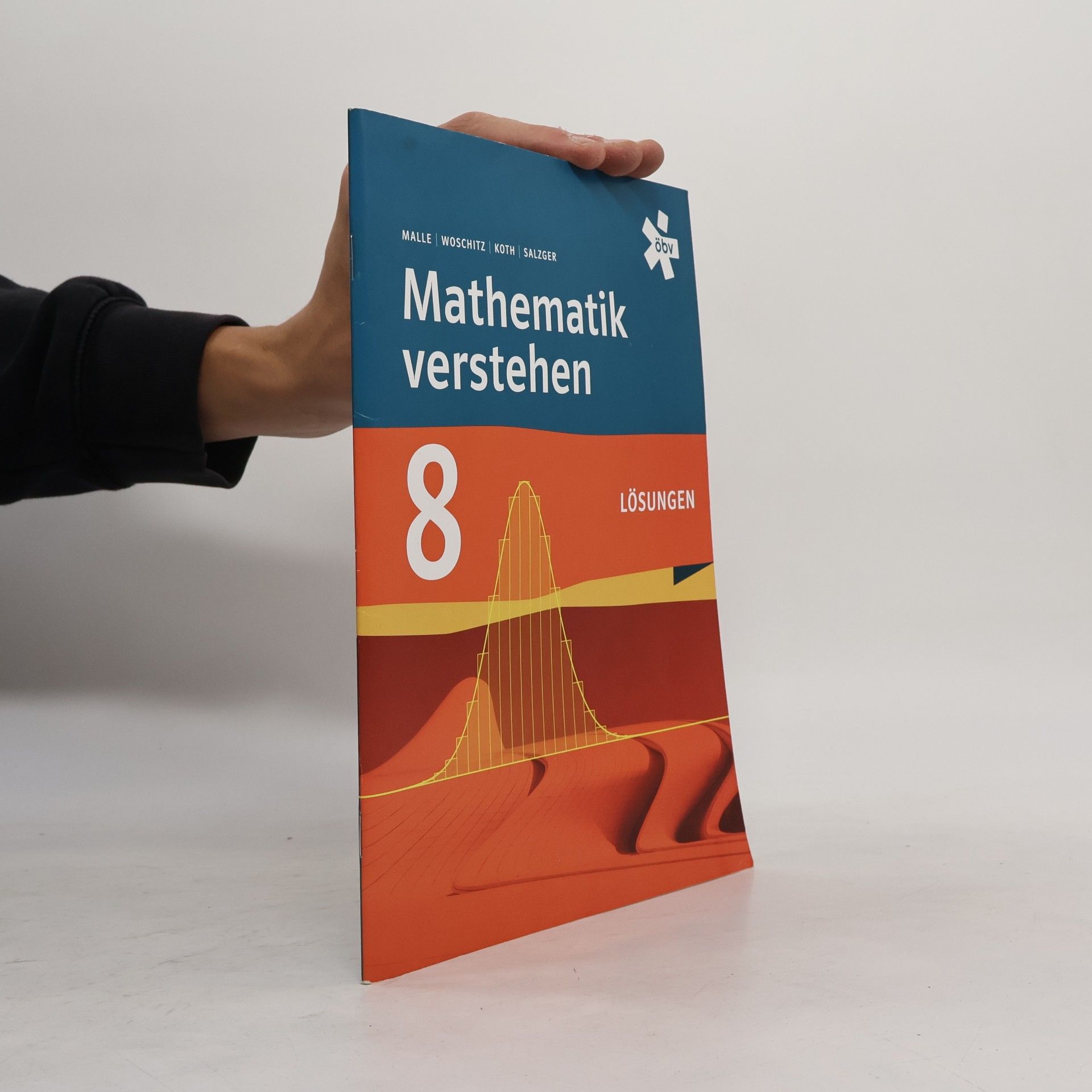 Mathematik verstehen 8 Lösungen