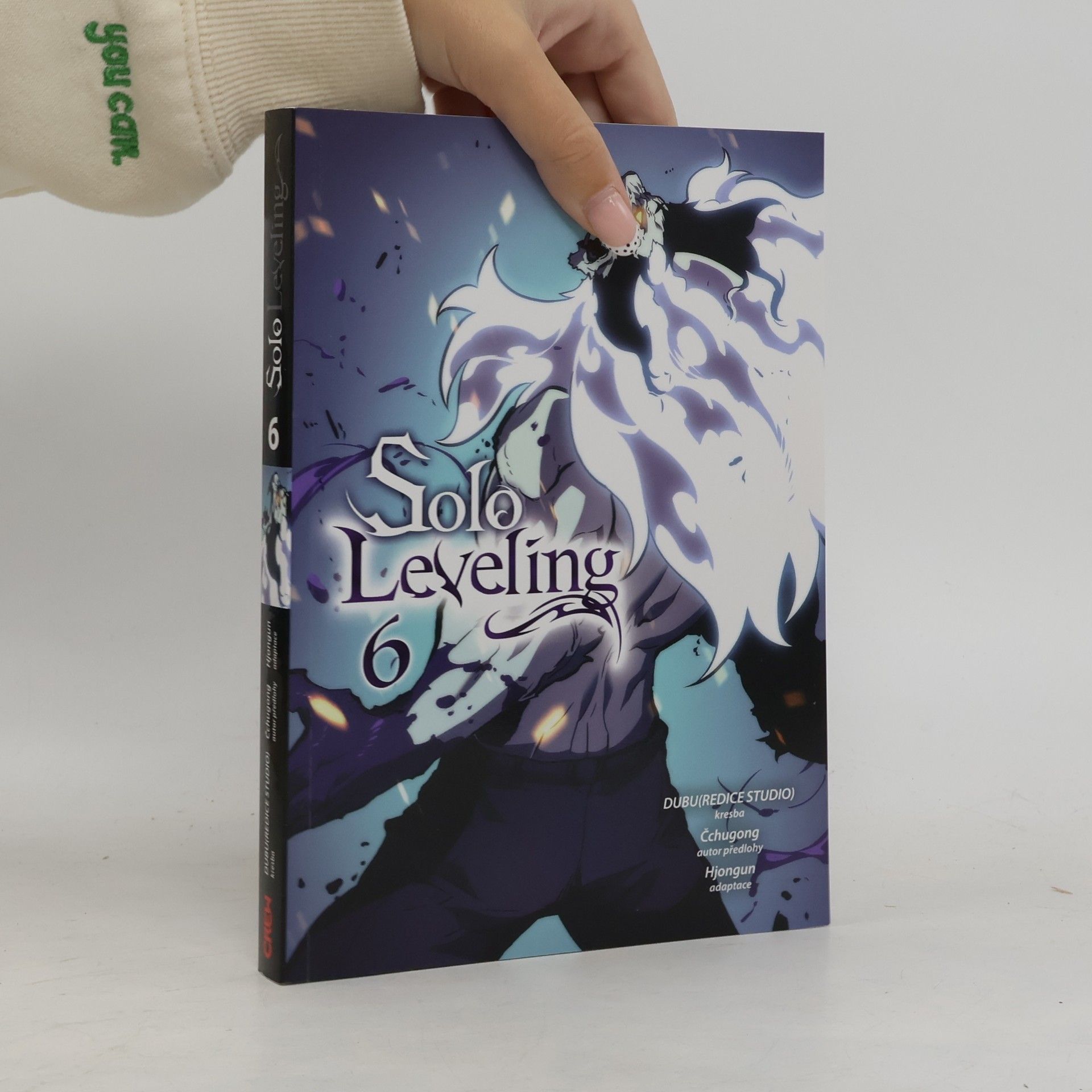 Solo Leveling