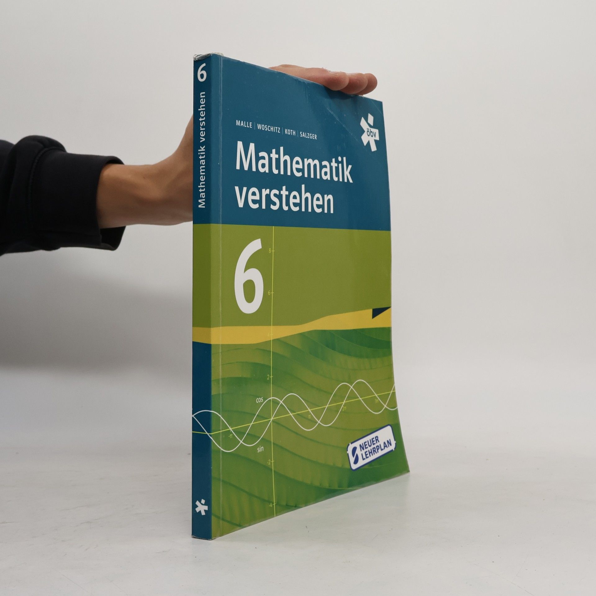 Autorenkollektiv Mathematik verstehen 6