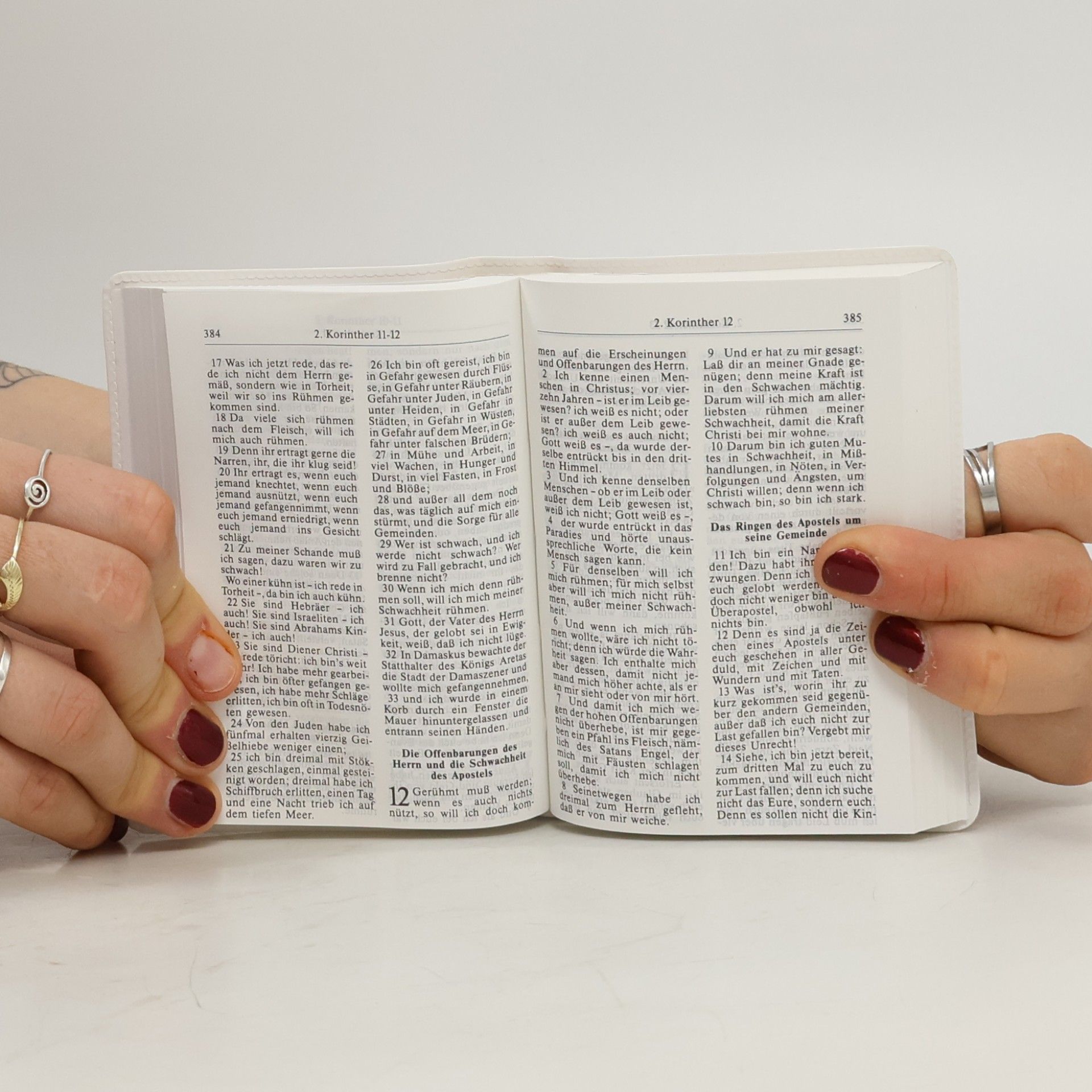 kolektiv Neues Testament