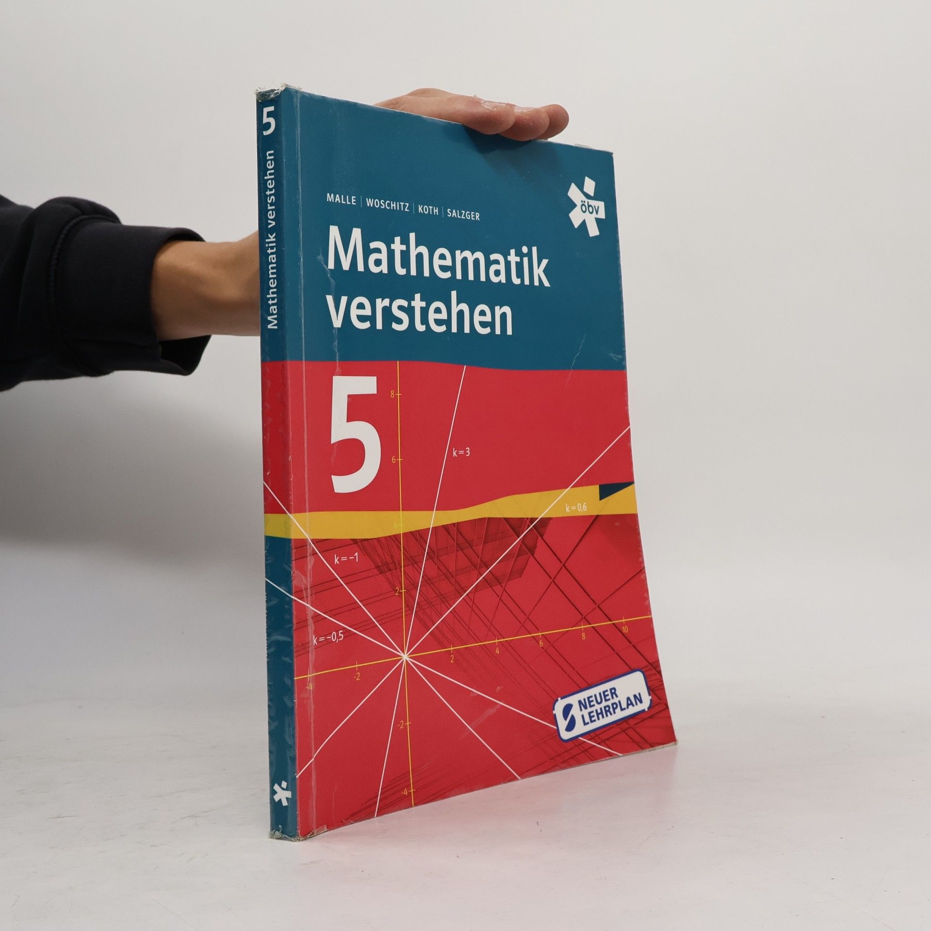 Günther Malle Mathematik verstehen 5