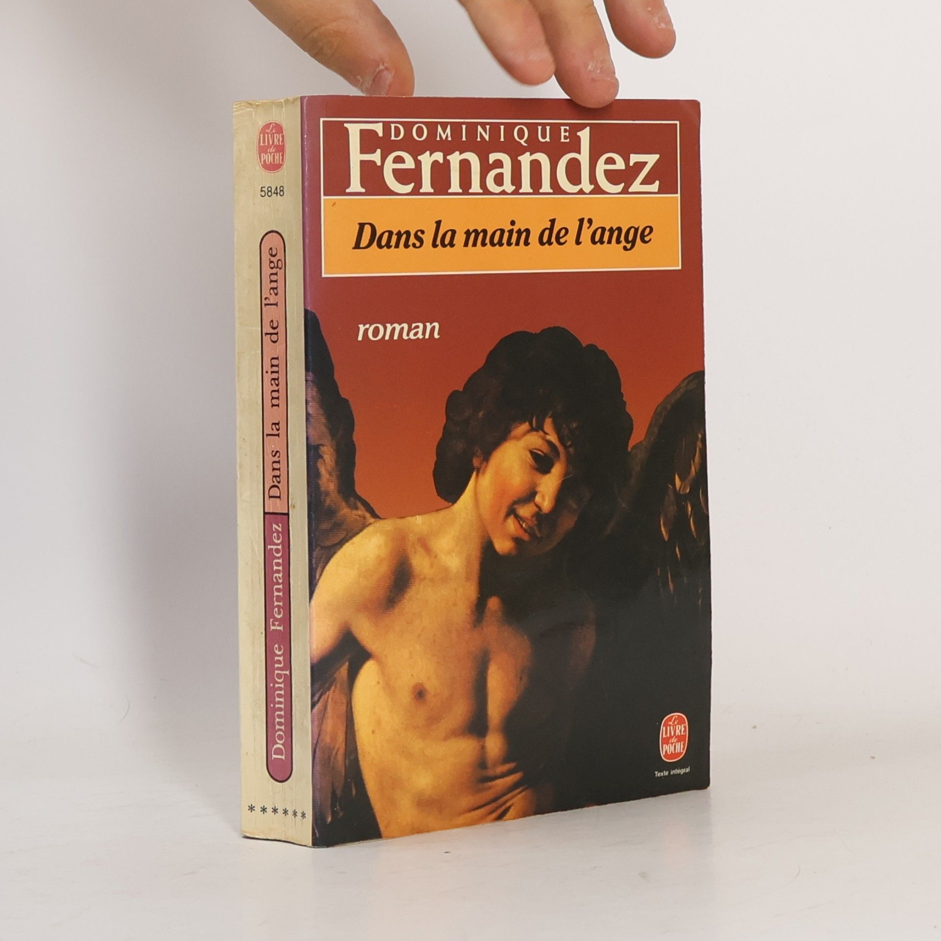 Dominique Fernandez Dans la main de l'ange