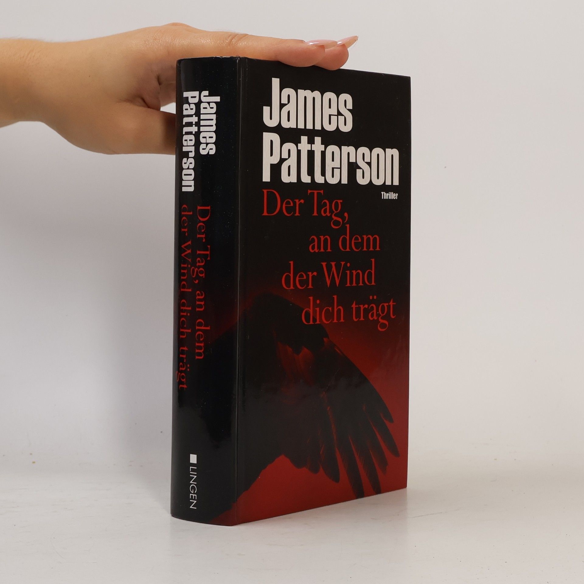 James Patterson Der Tag, an dem der Wind dich trägt