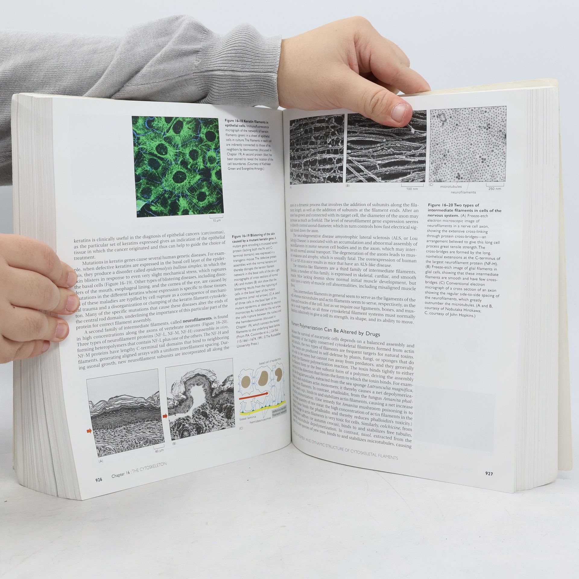 Bruce Alberts Molecular biology of the cell