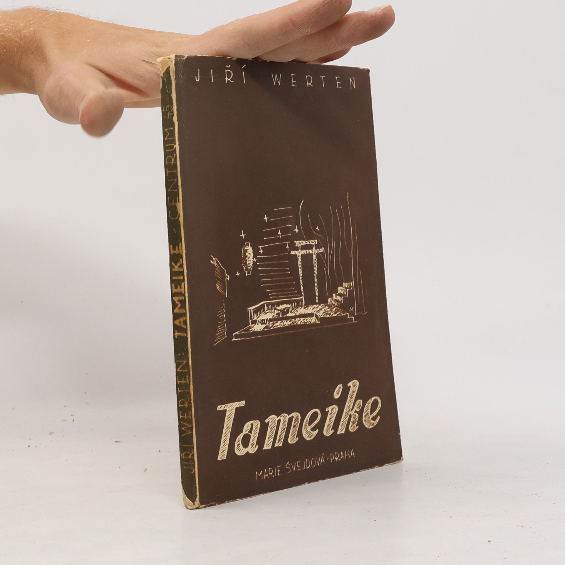 Tameike