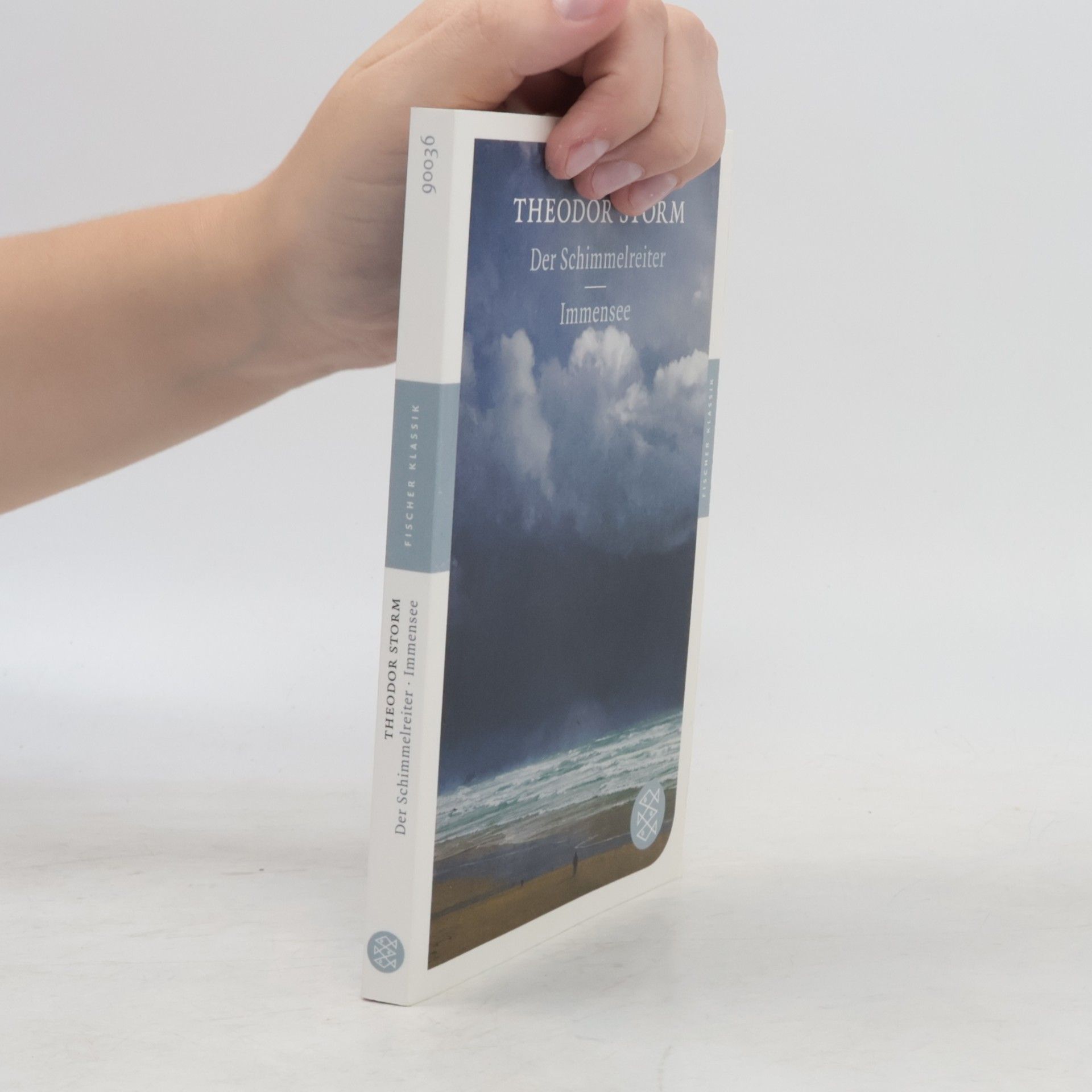 Theodor Storm Der Schimmelreiter. Immensee - Mit dem Werkbeitrag aus Kindlers Literatur Lexikon