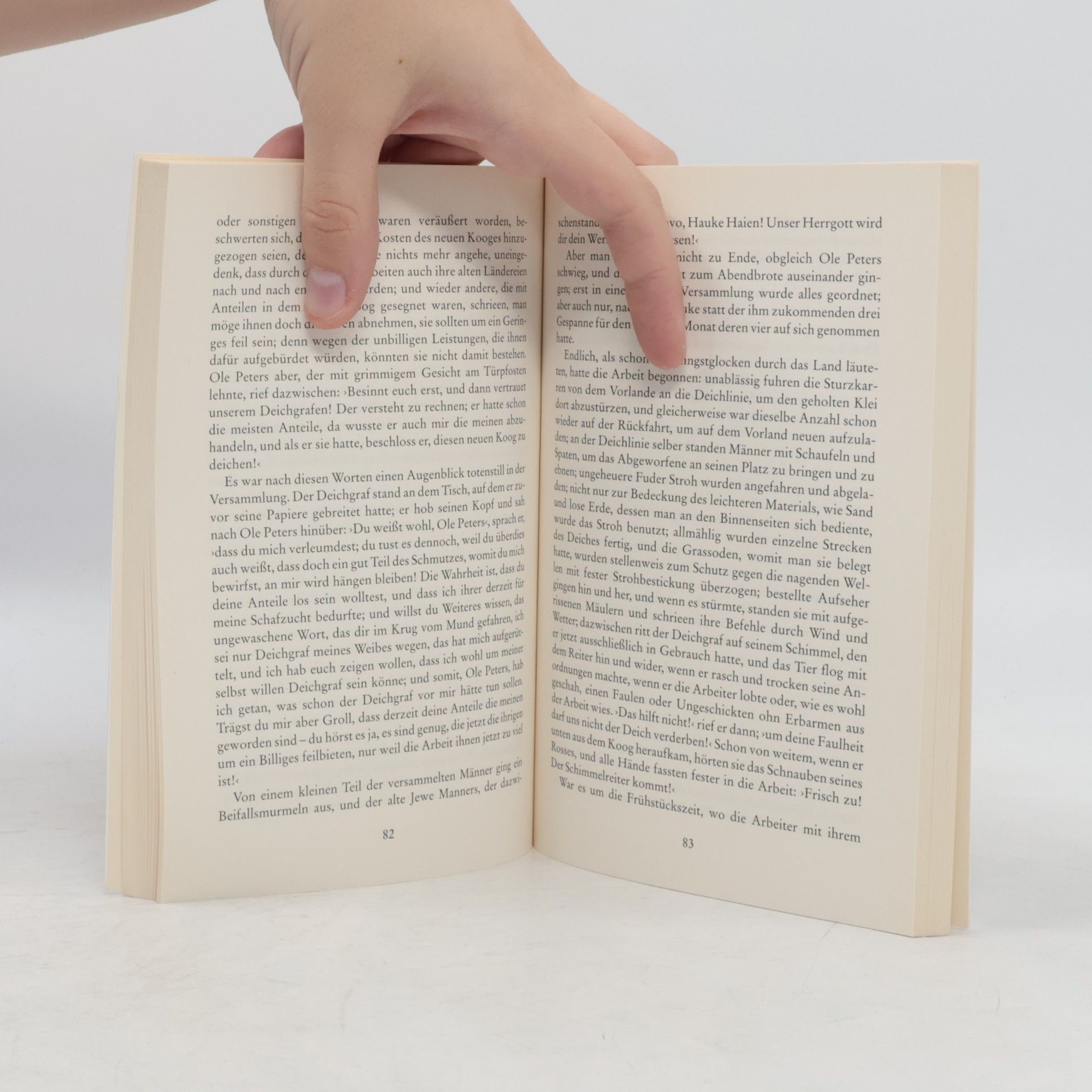 Hans Theodor Woldsen Storm Der Schimmelreiter. Immensee - Mit dem Werkbeitrag aus Kindlers Literatur Lexikon
