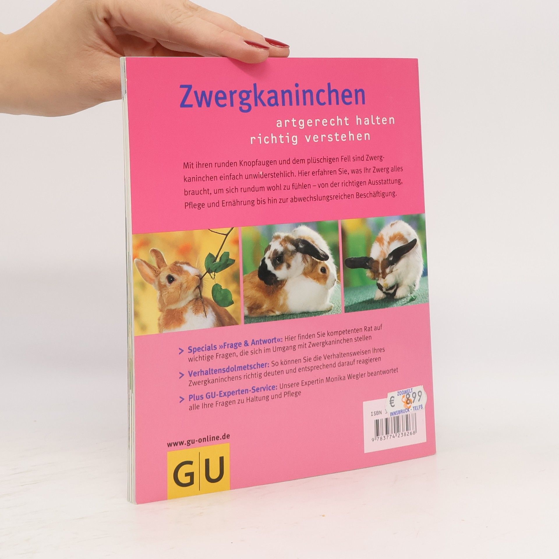 Monika Wegler Zwerg kaninchen