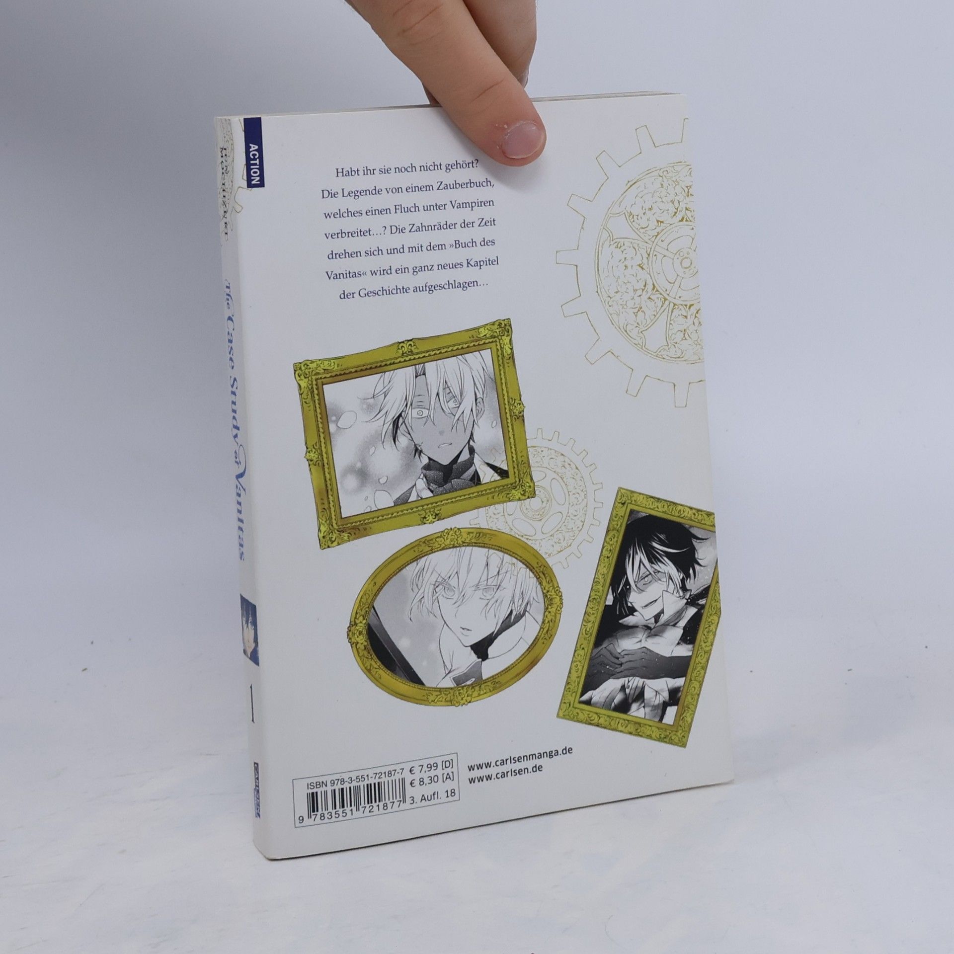 Jun Mochizuki The case study of Vanitas 1