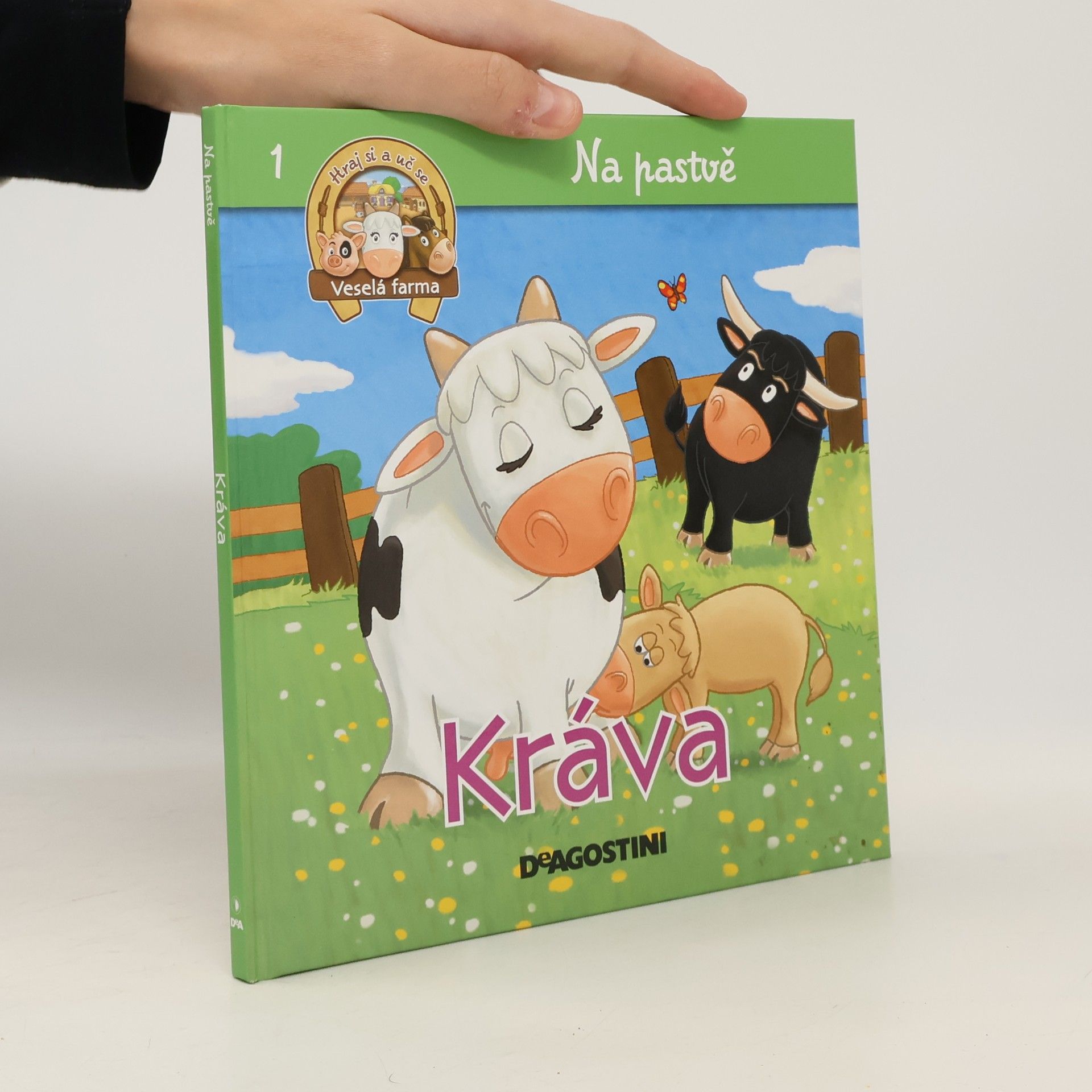 Kráva, tele, býk a vůl
