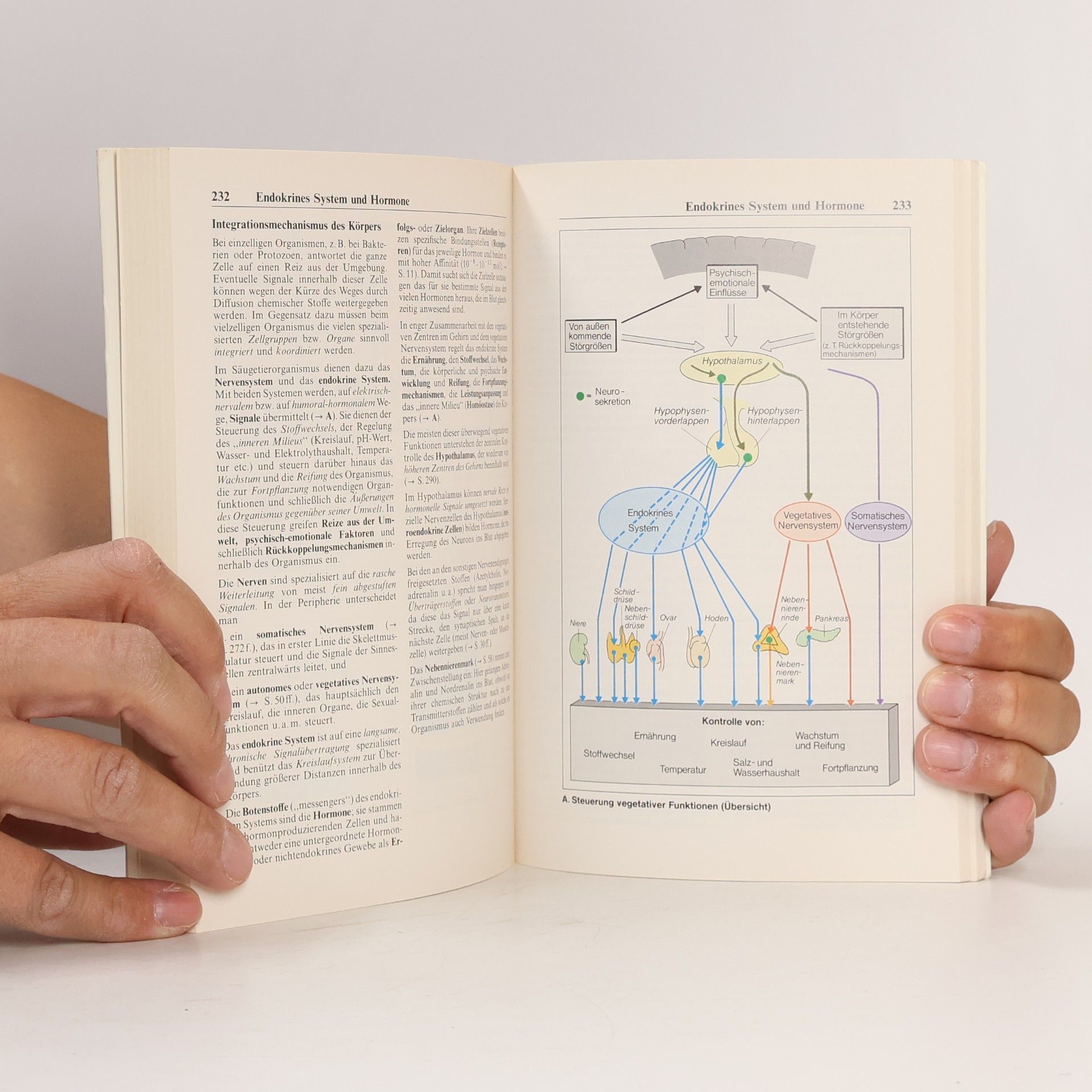 Stefan Silbernagl Taschenatlas der Physiologie