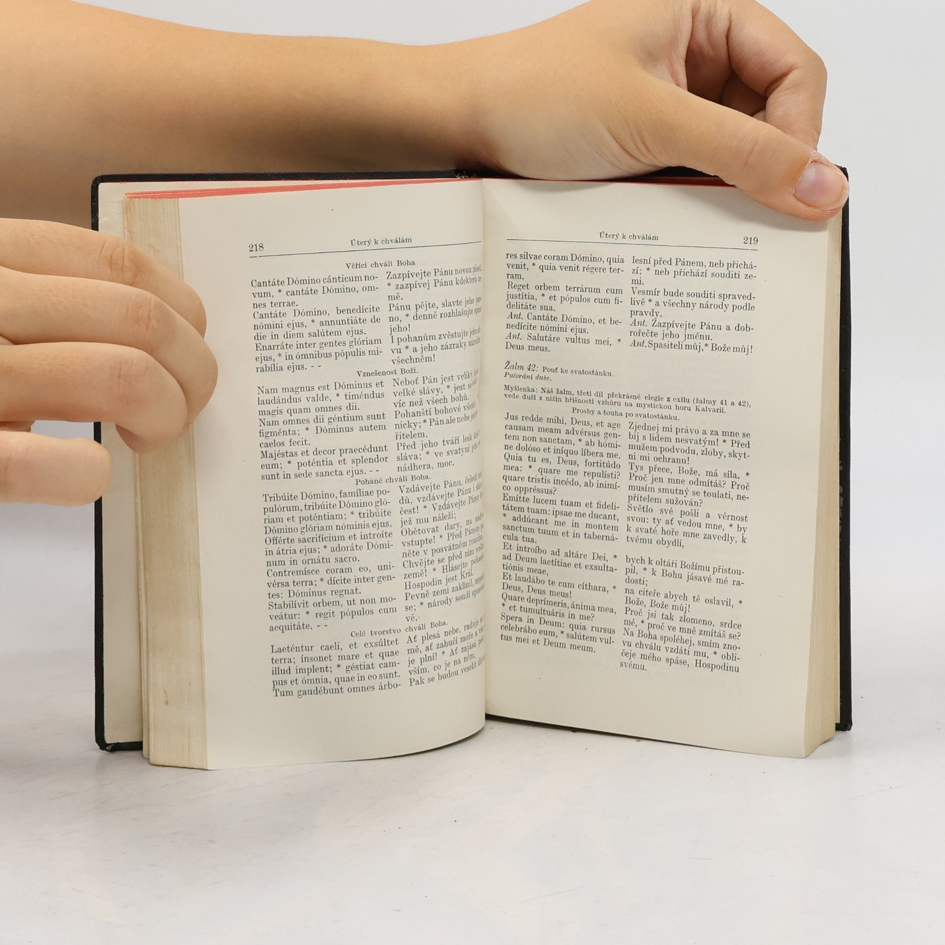 Autorenkollektiv Žatlář římského breviáře