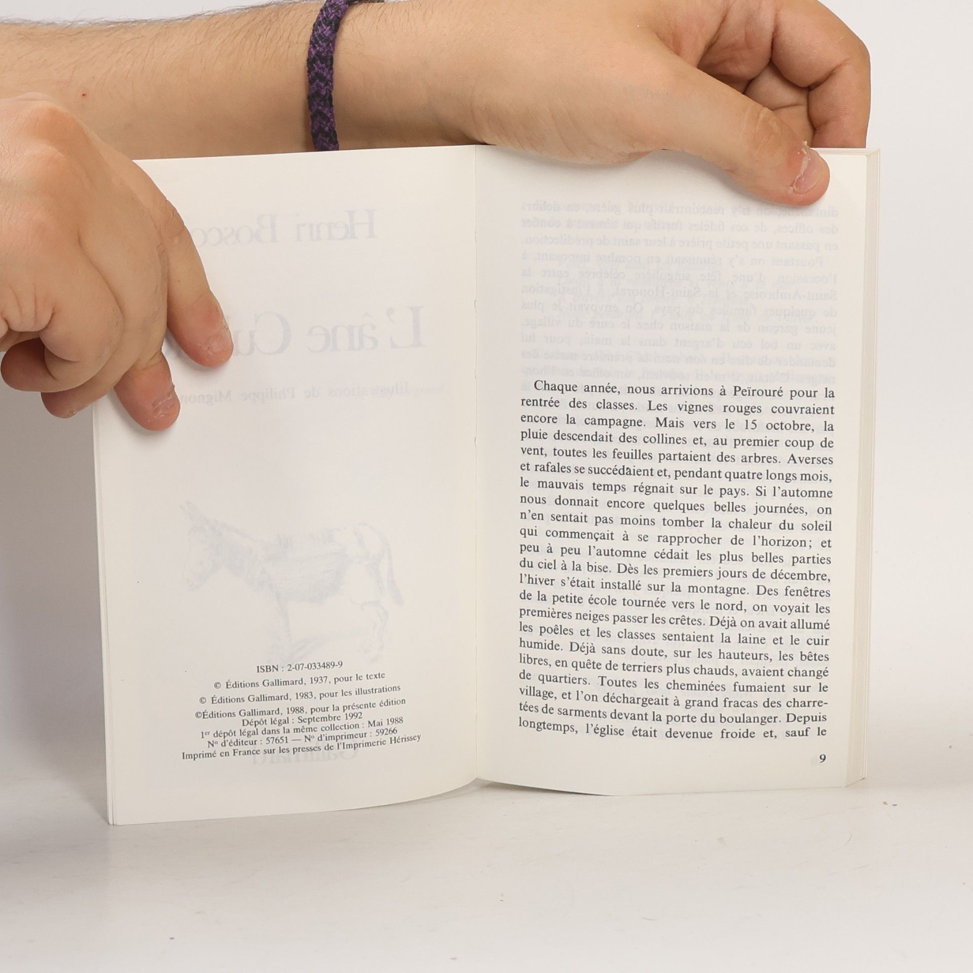 Henri Bosco Folio Junior - 489: L'Âne Culotte