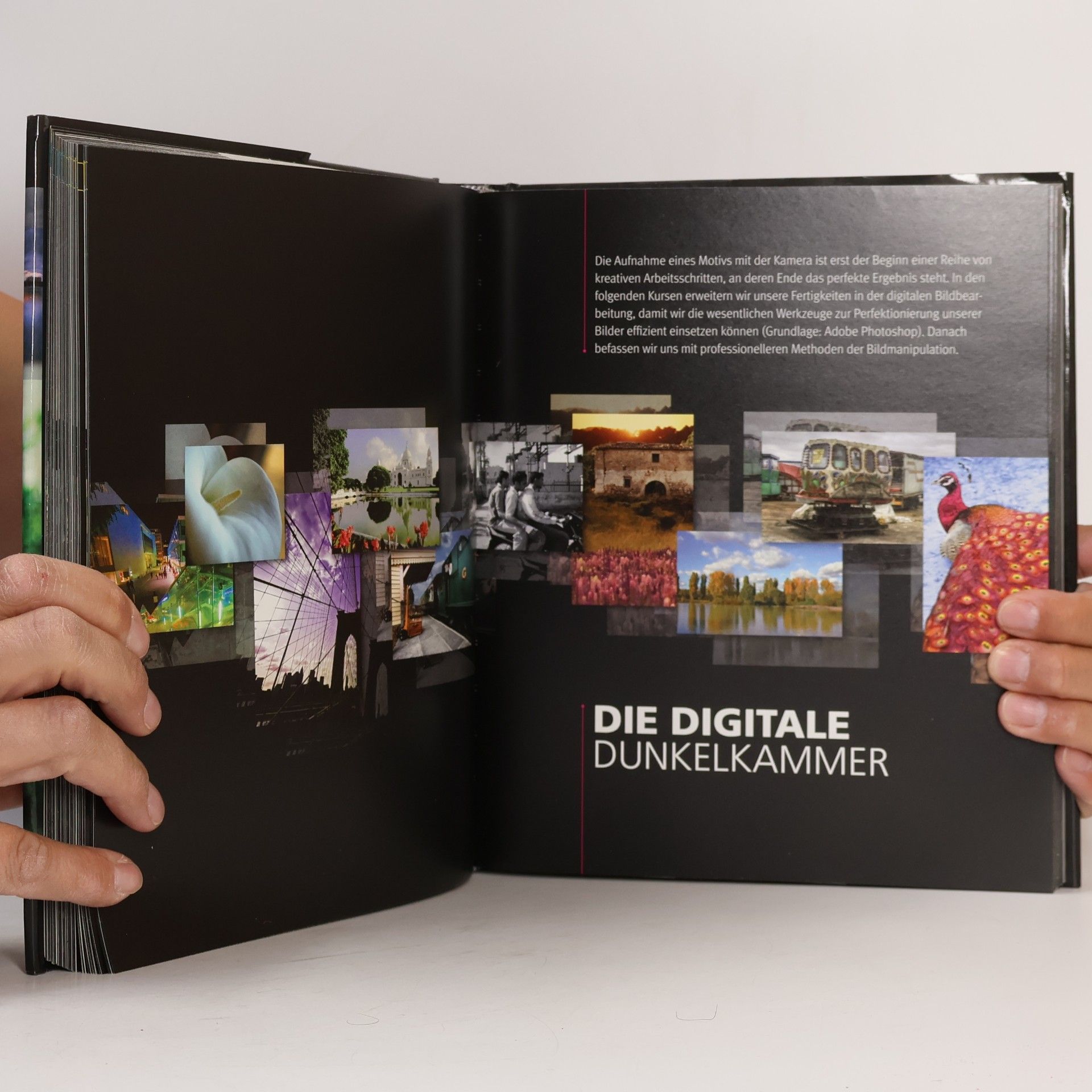 Tom Ang Digitale Fotografie