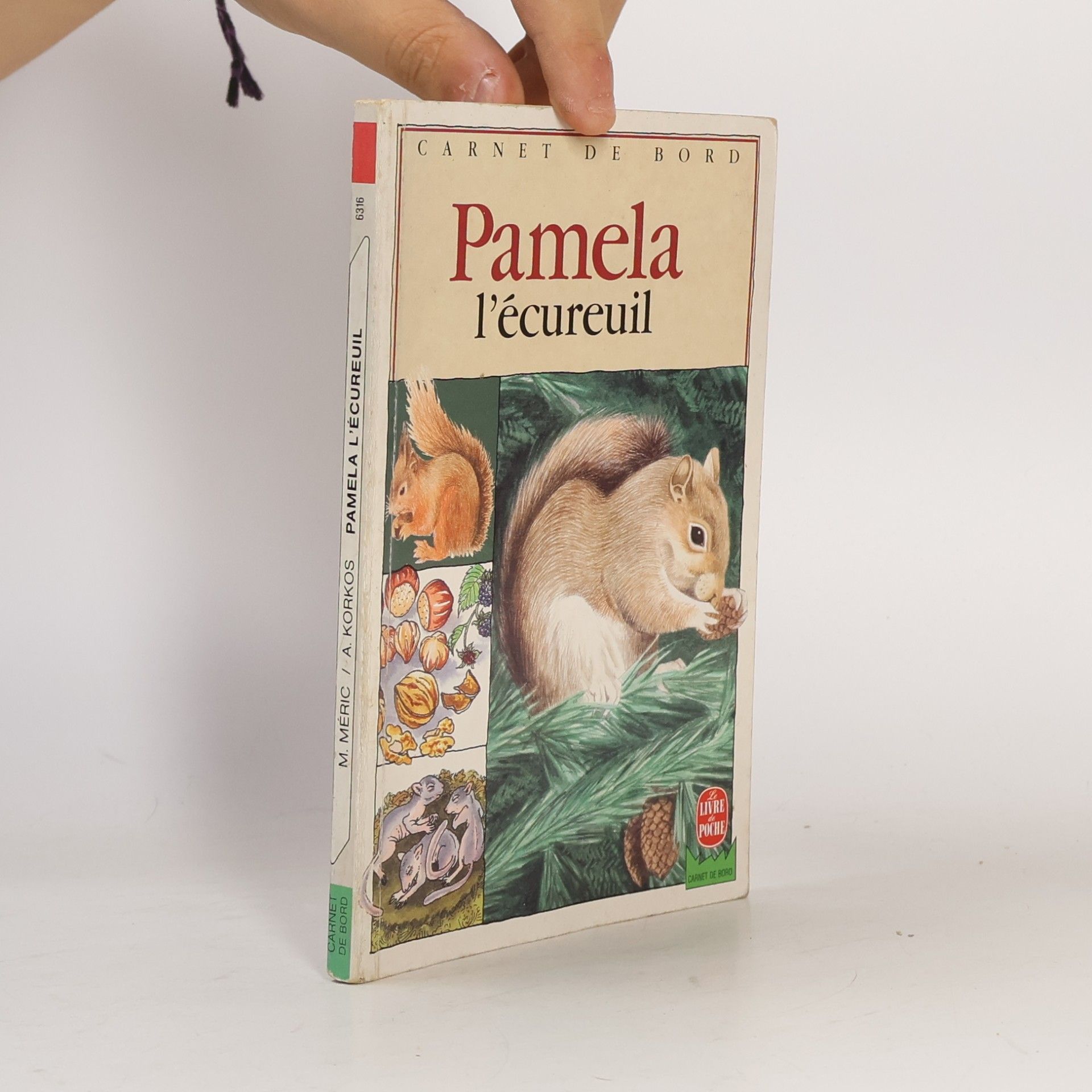 A. Korkos Pamela l'ecureuil