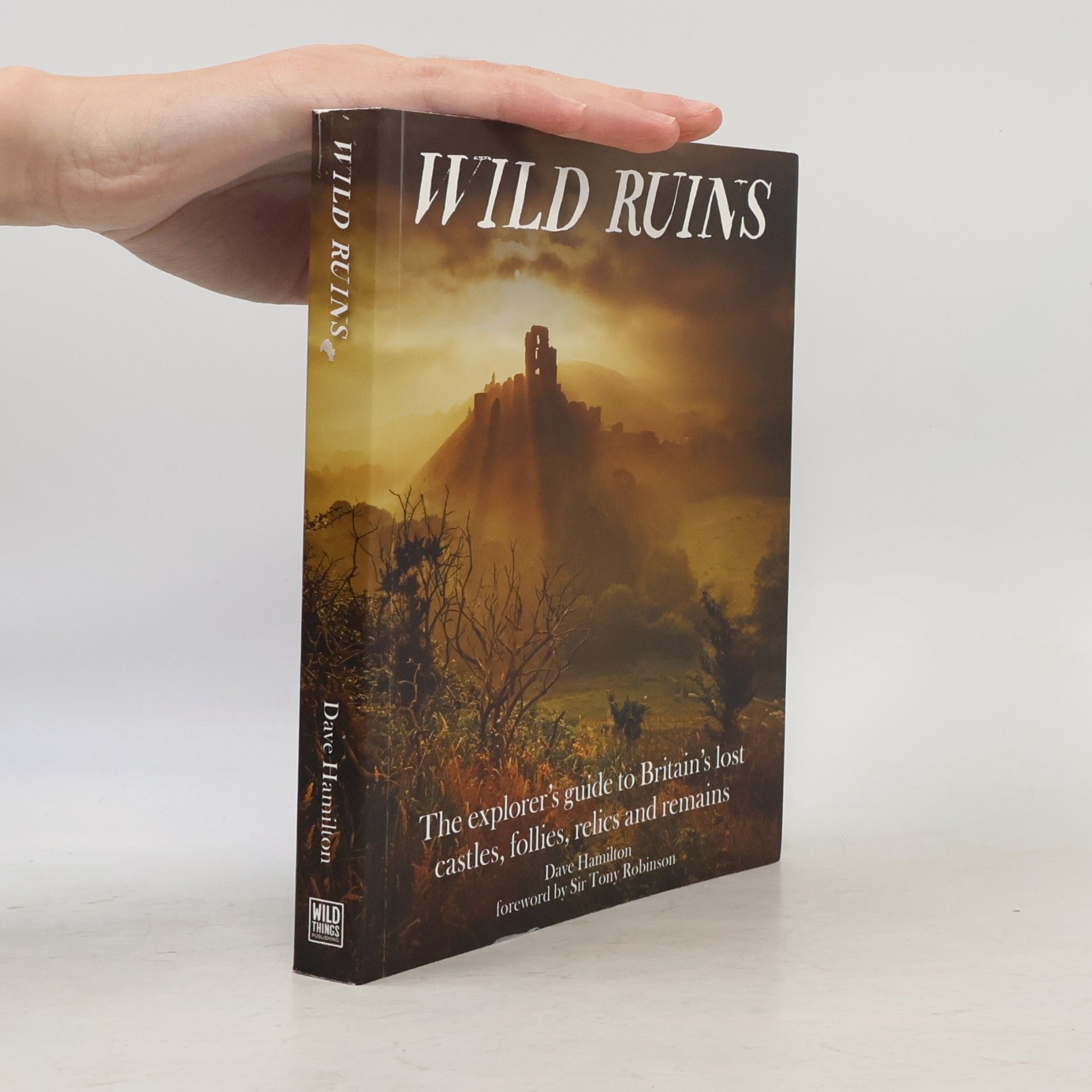 Sir Tony Robinson Wild Ruins