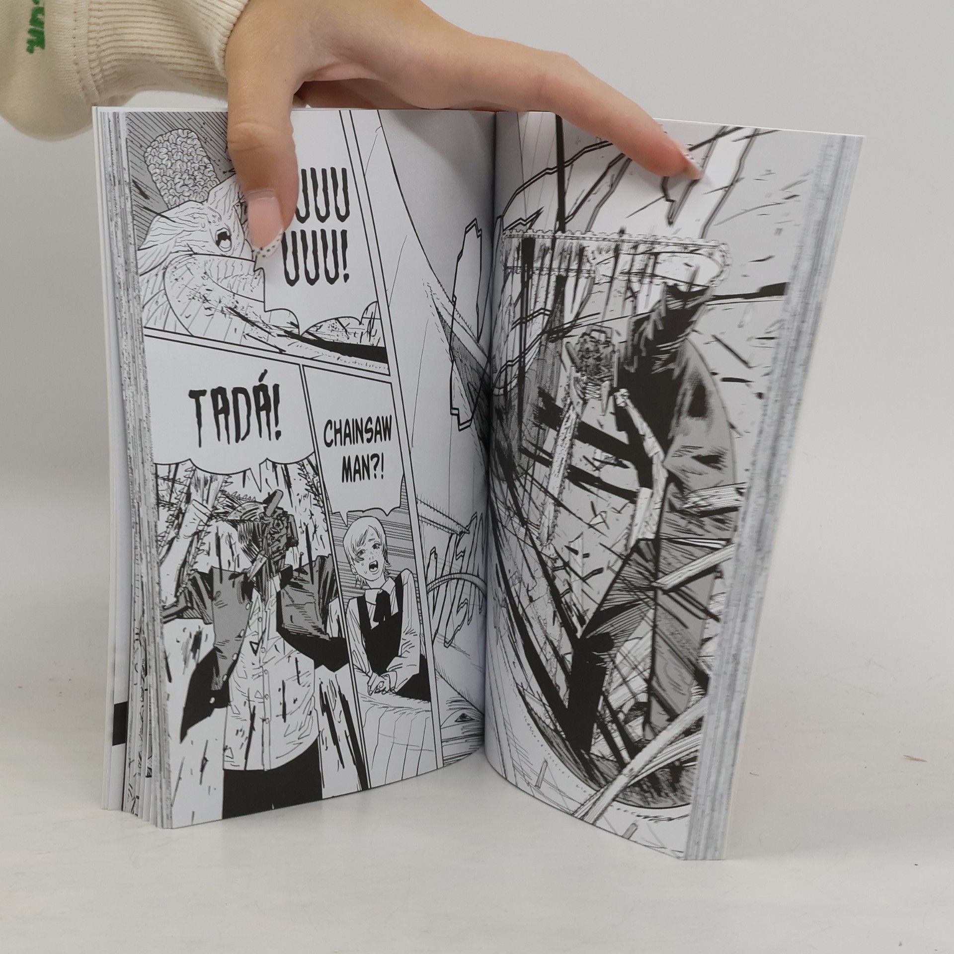 Tatsuki Fujimoto Spoiler
