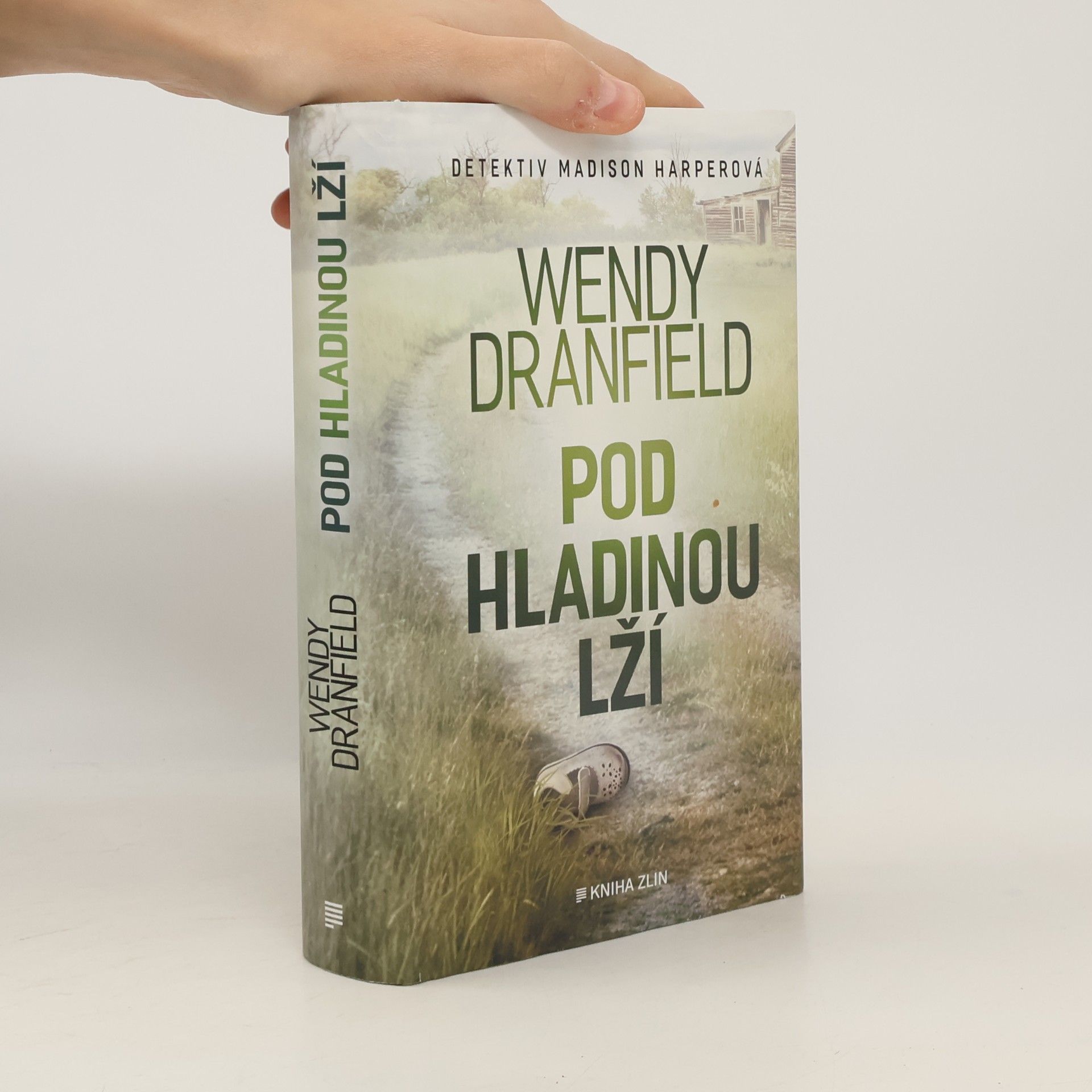Wendy Dranfield Pod hladinou lží