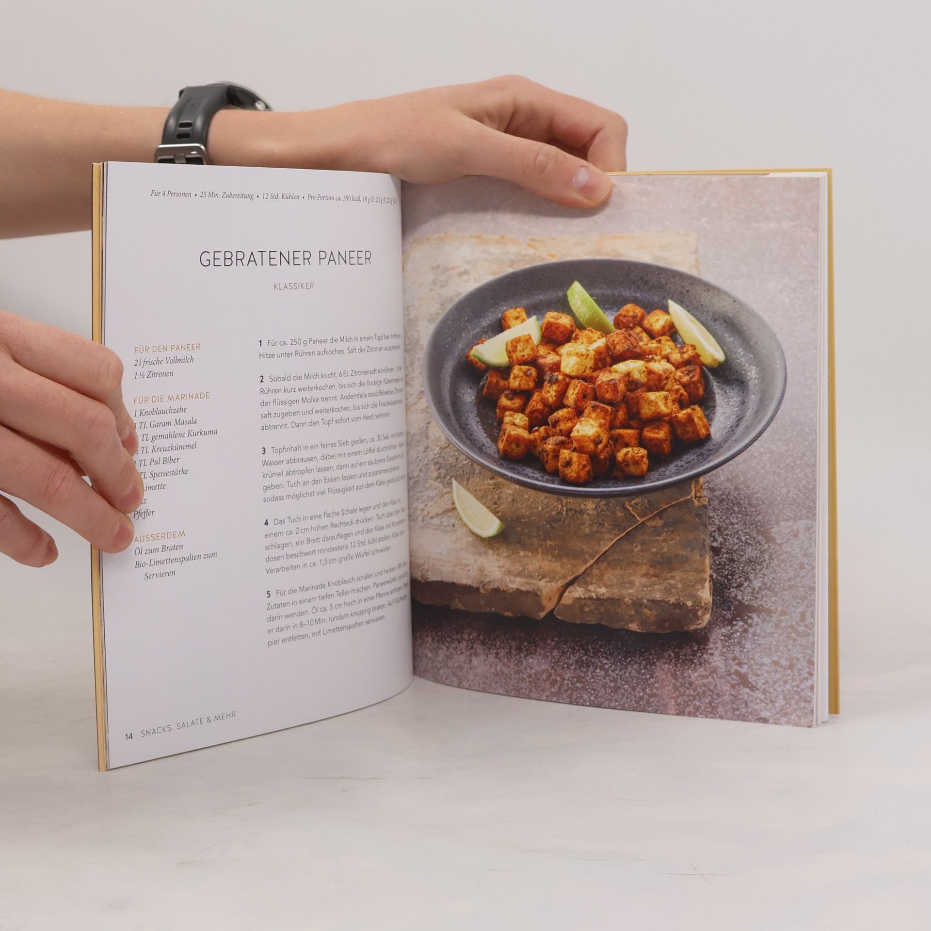 Inga Pfannebecker Indisch vegetarisch