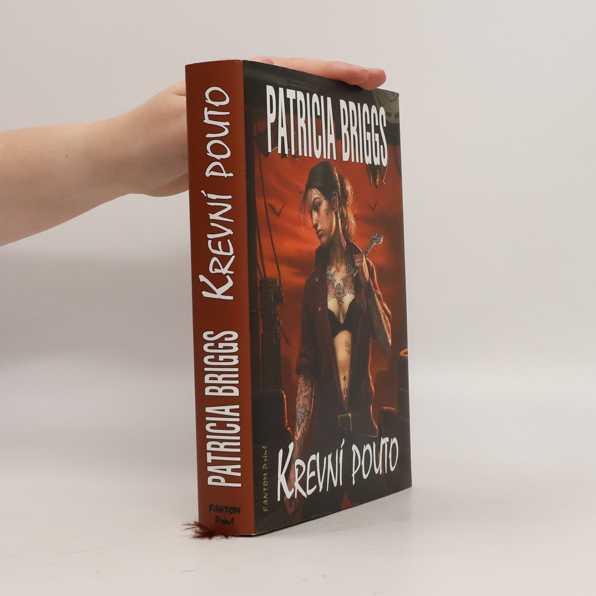 Patricia Briggs Krevní pouto