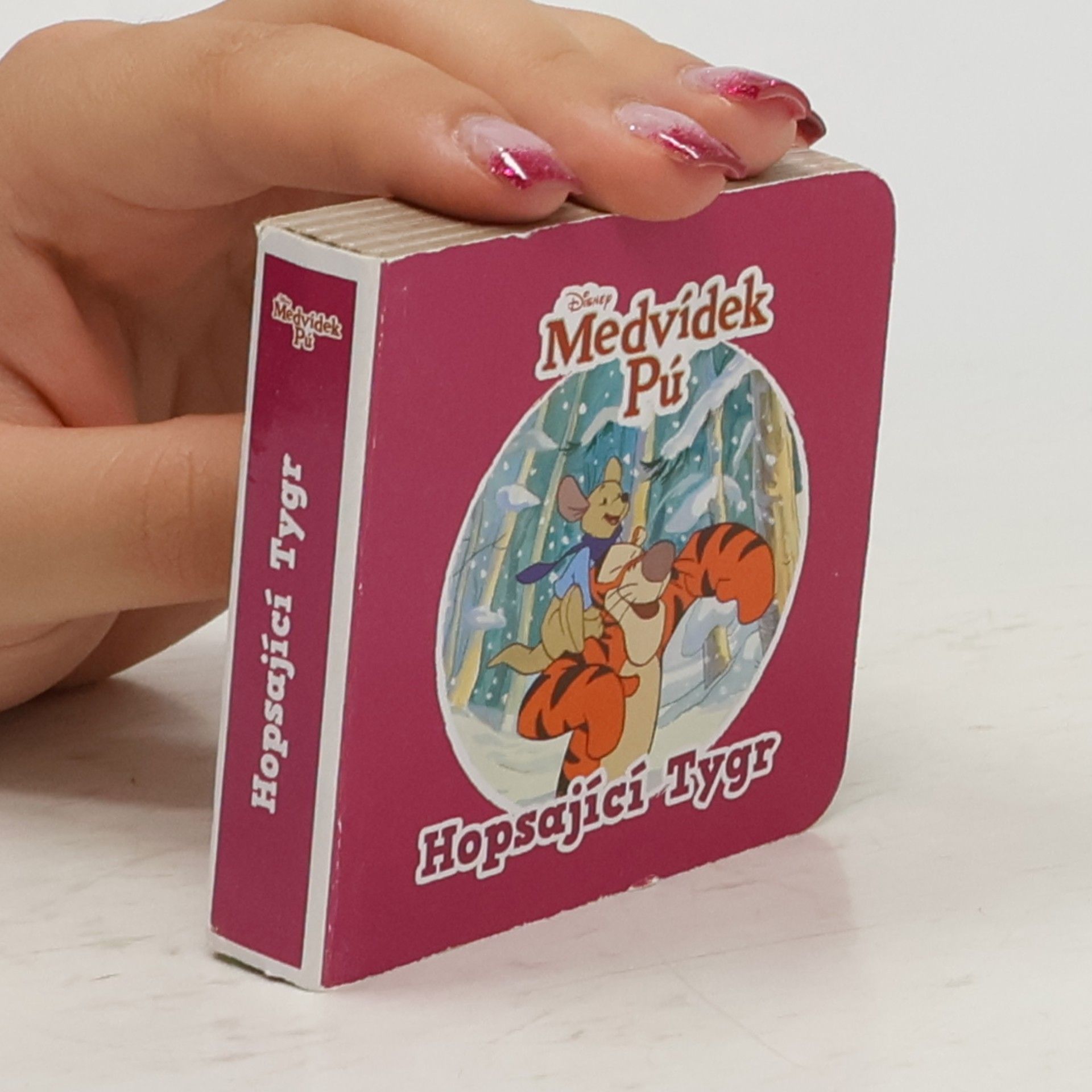 Autorenkollektiv Medvídek Pú: Hopsající tygr