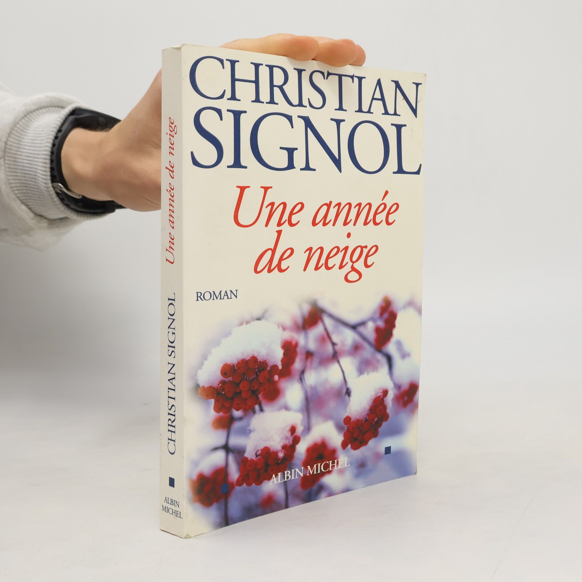 Christian Signol Une Année de Neige
