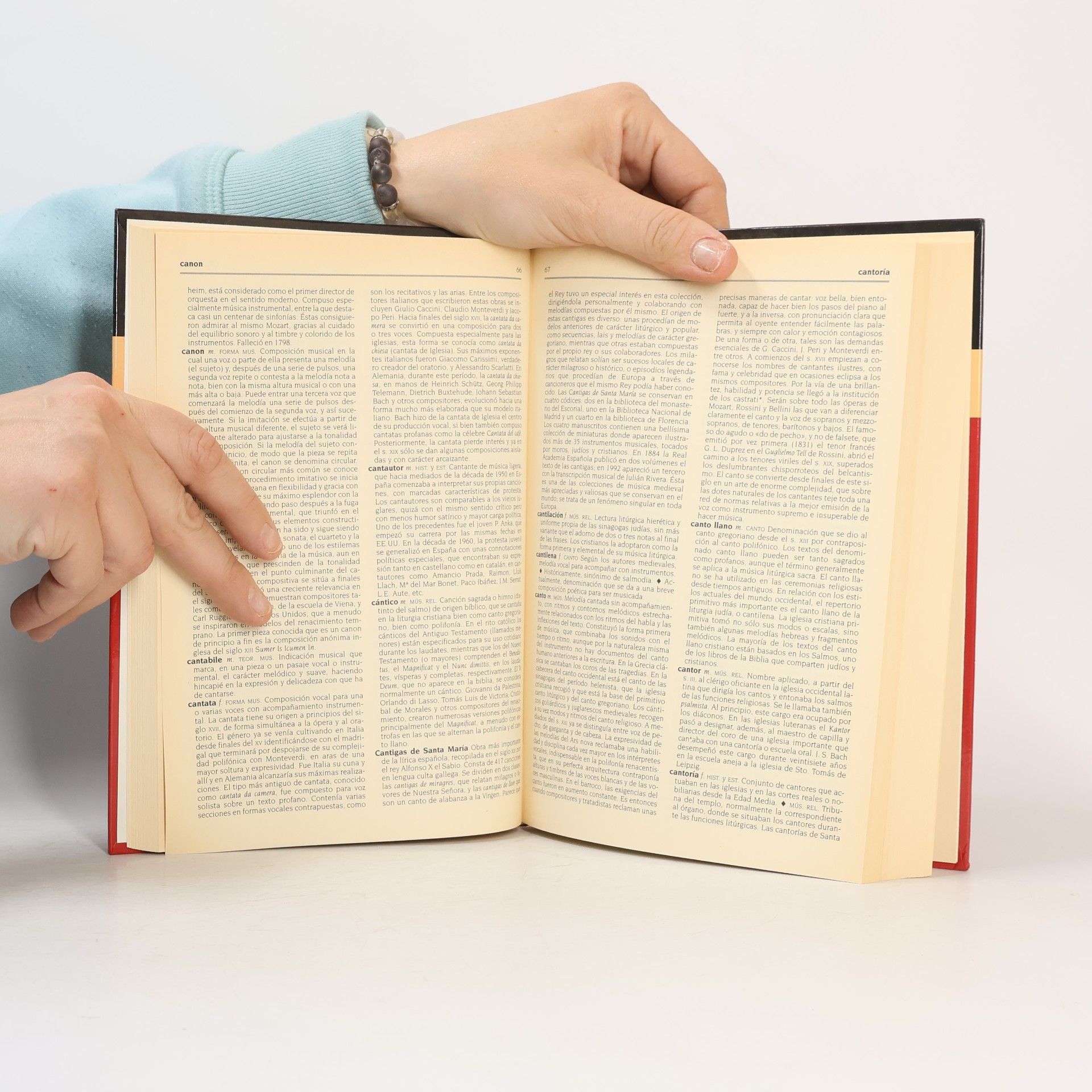Kolektív autorov Larousse Diccionario de Música