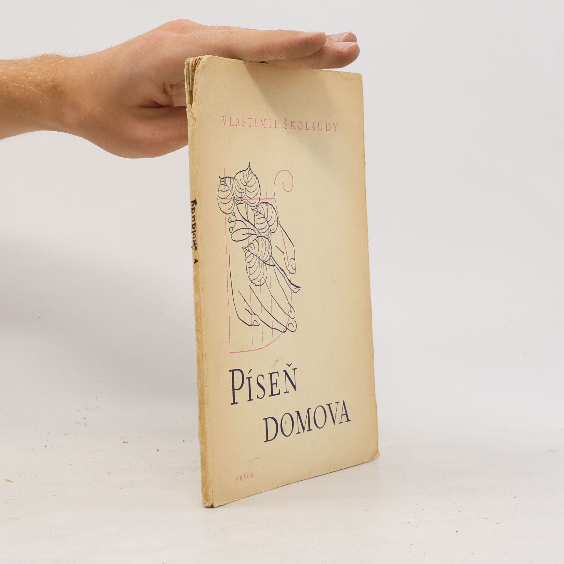 Píseň domova