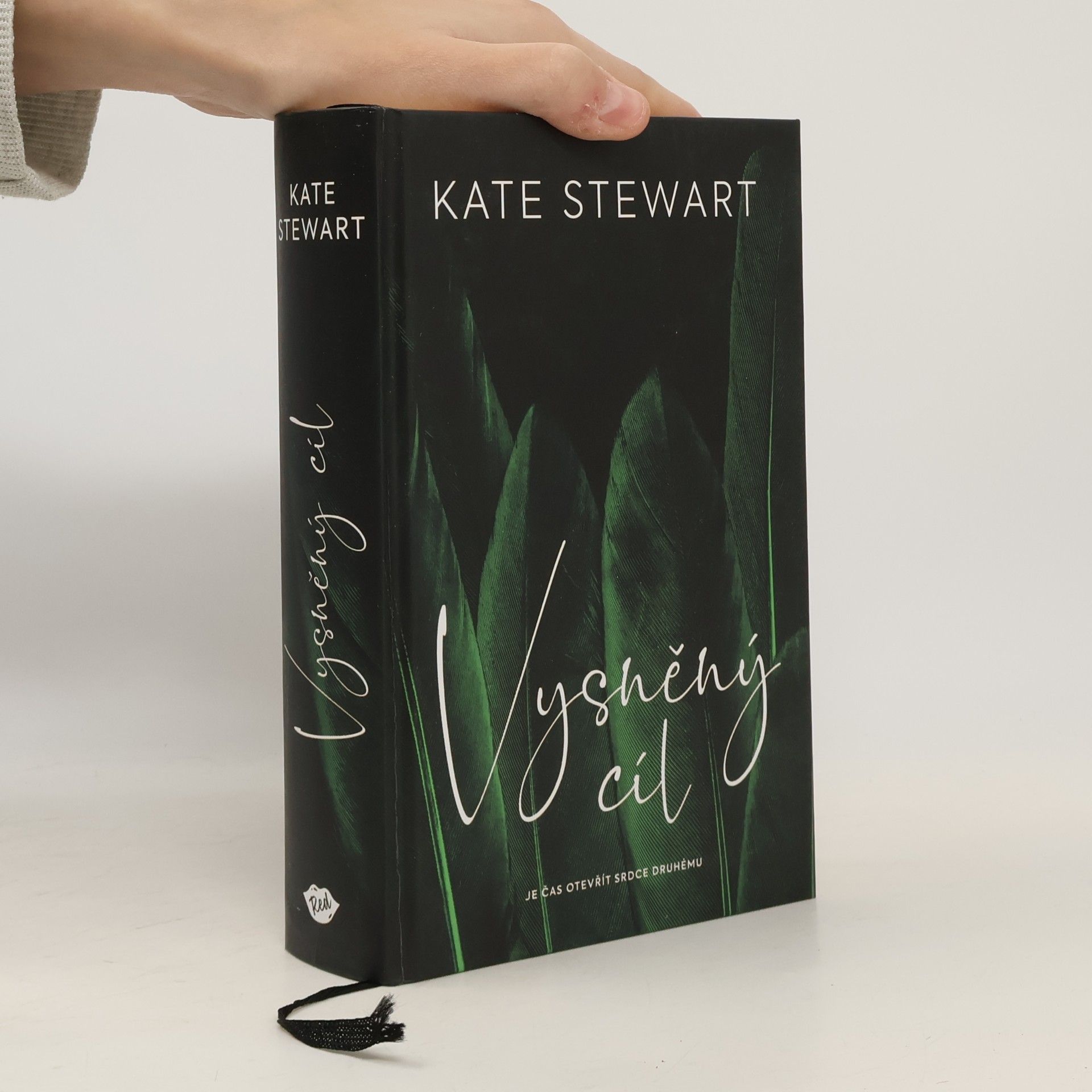 Kate Stewart Vysněný cíl. Kniha třetí