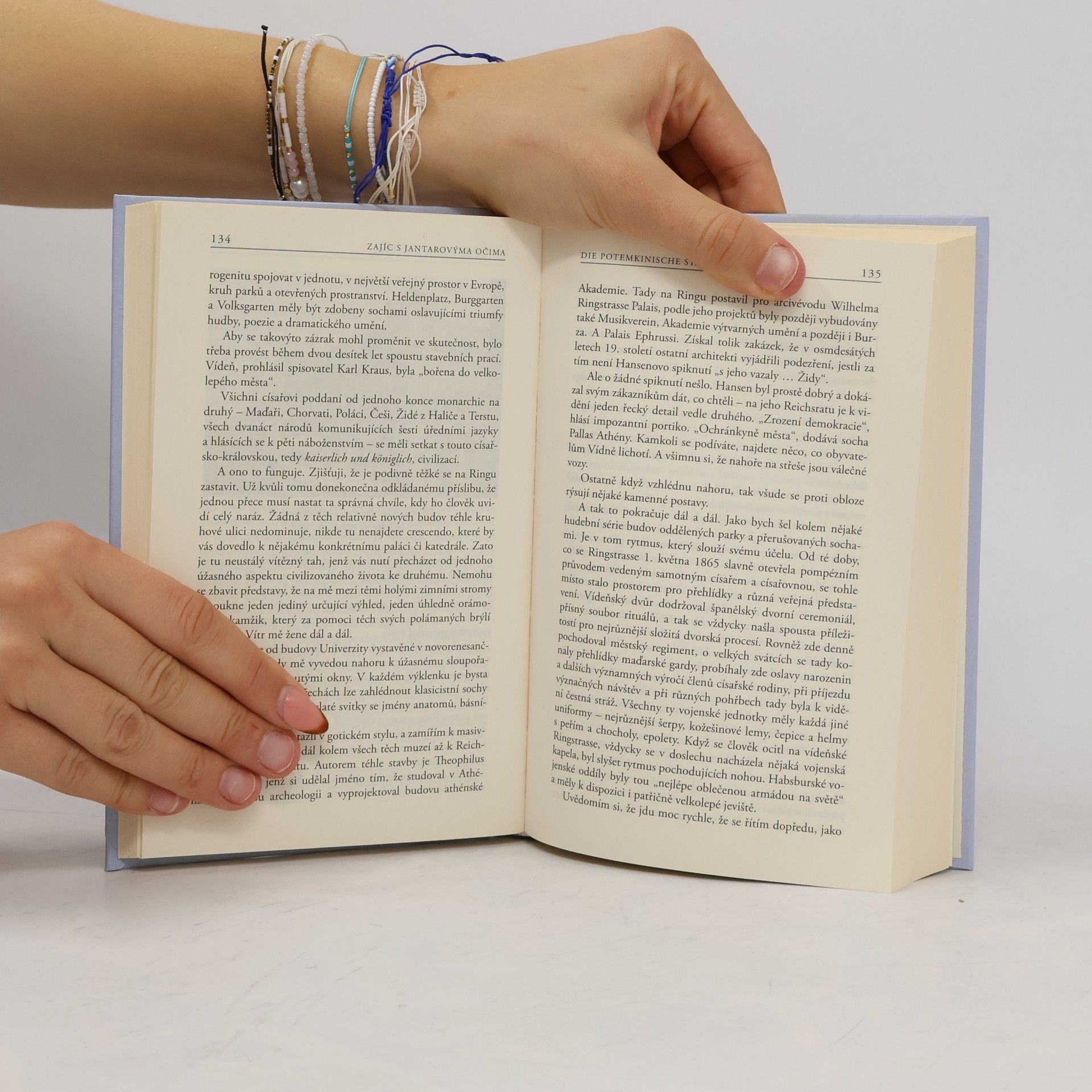 Edmund de Waal Zajíc s jantarovýma očima