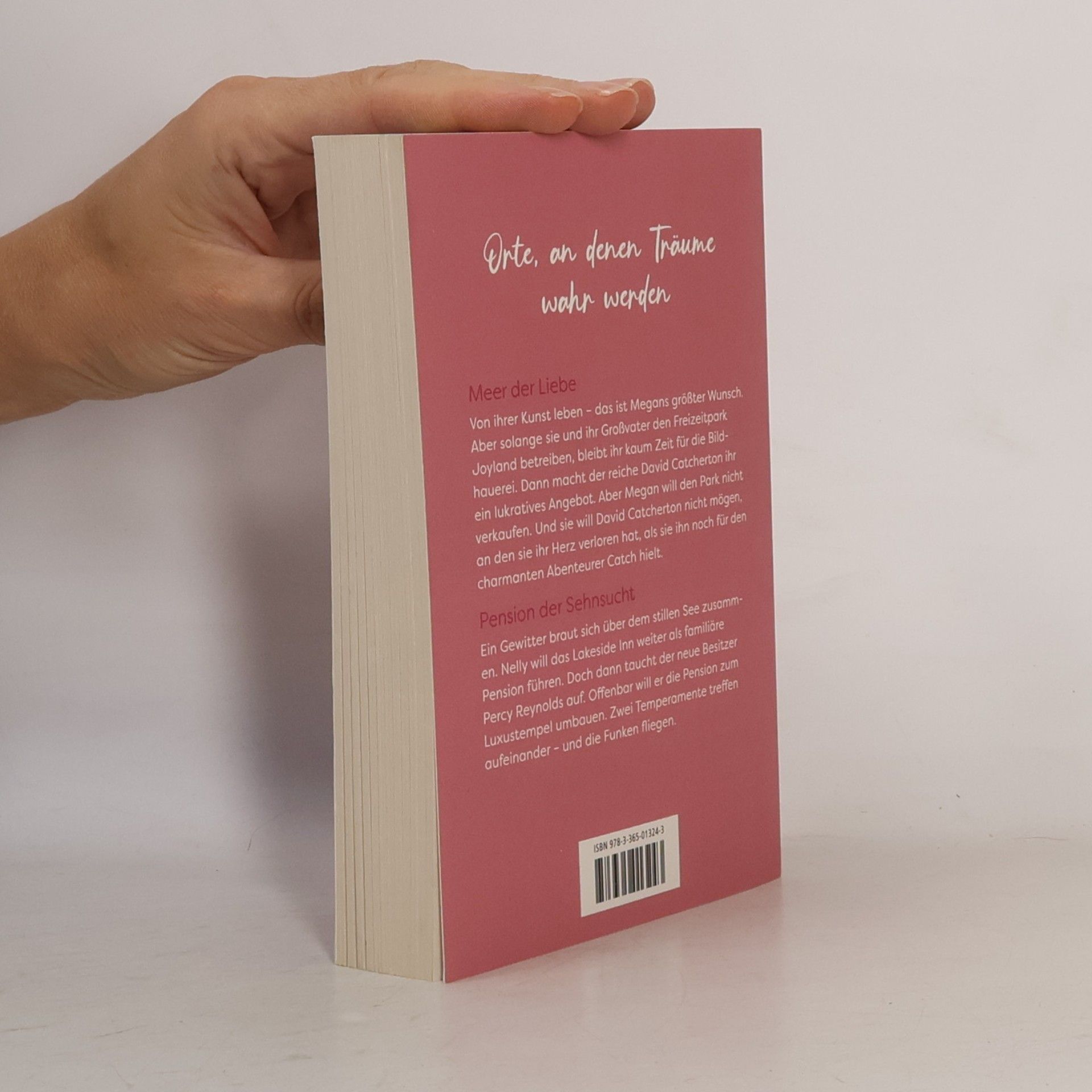 Nora Roberts Wo das größte Glück verborgen ist