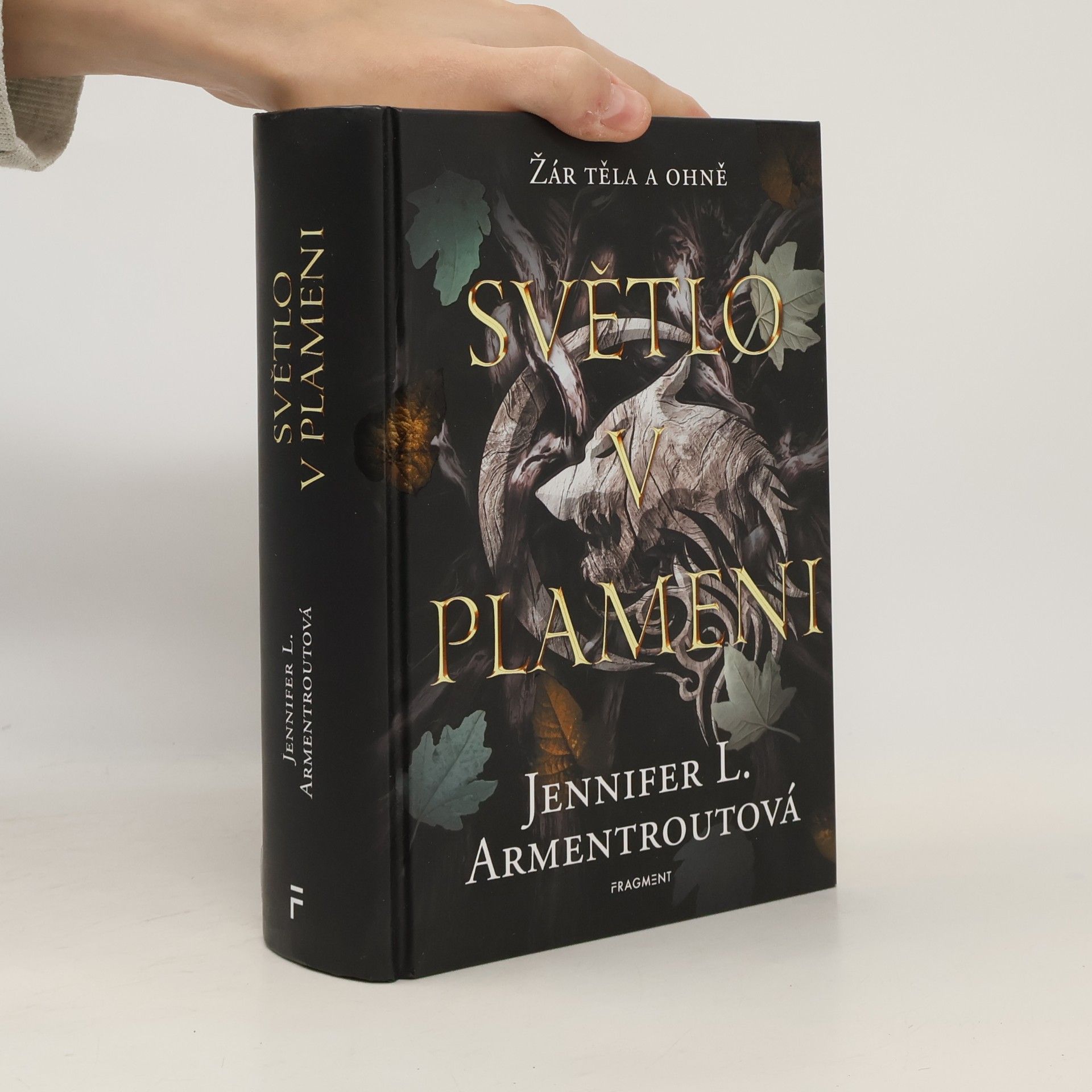 Jennifer L. Armentrout Světlo v plameni