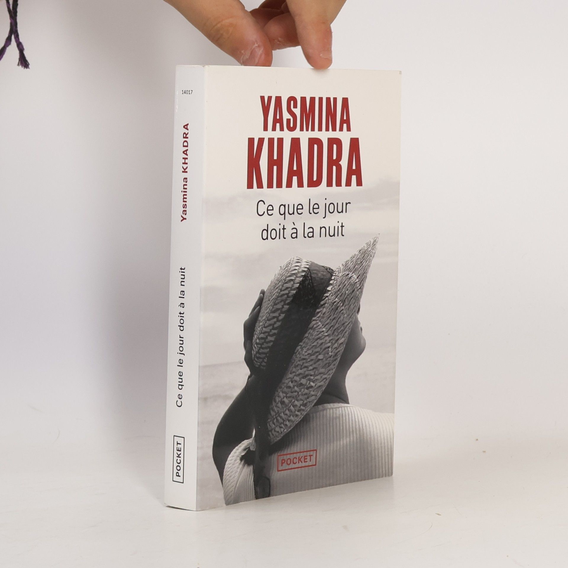 Yasmina Khadra Ce que le jour doit à la nuit