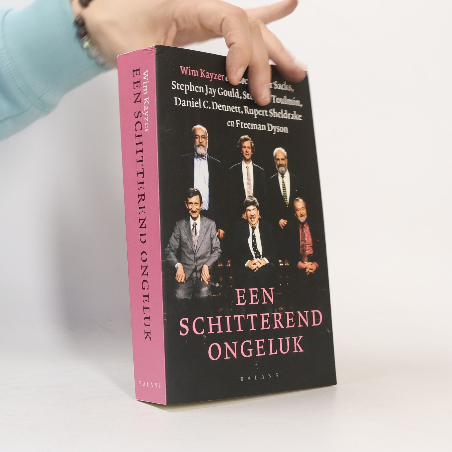 Een schitterend ongeluk