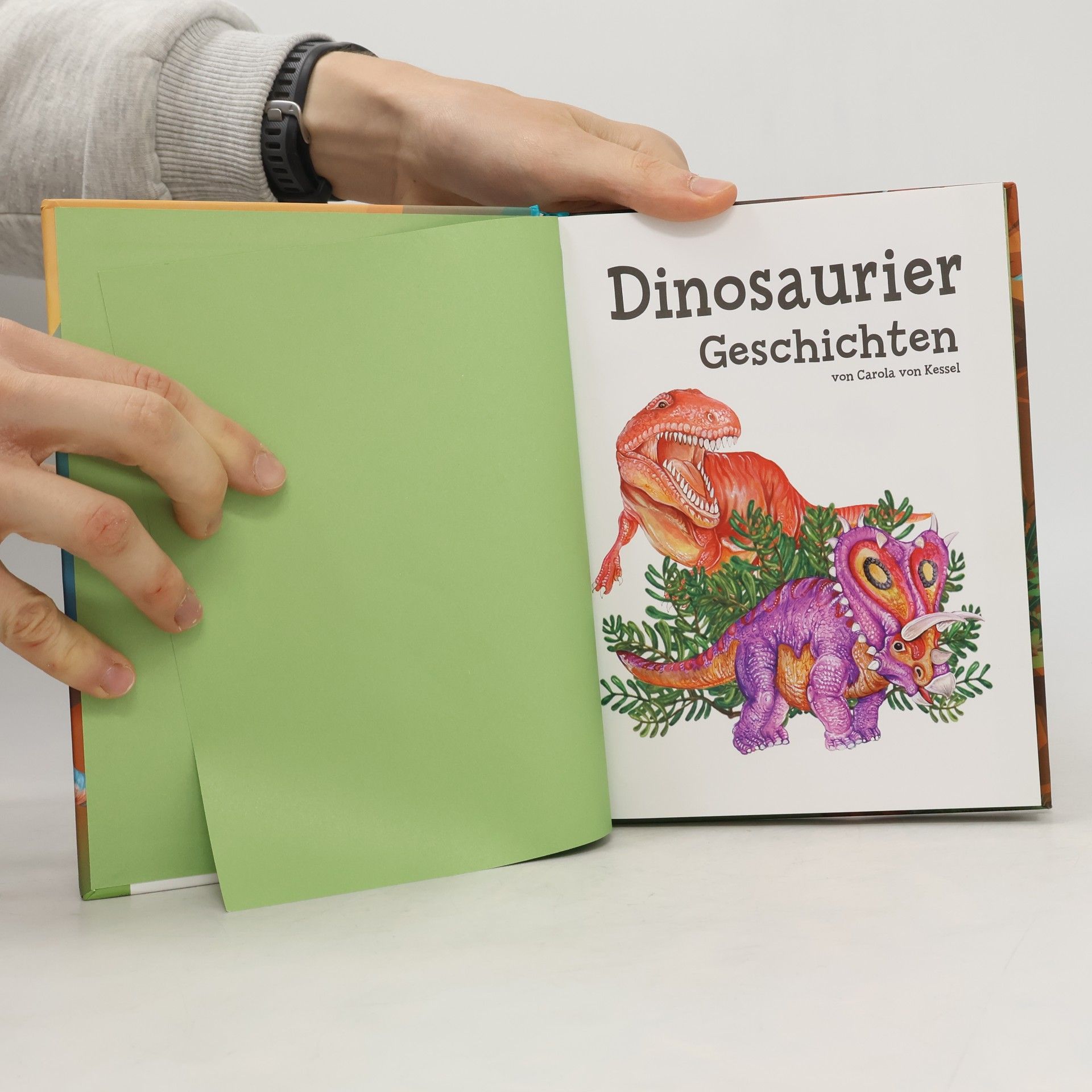 Carola von Kessel Dinosauriergeschichten