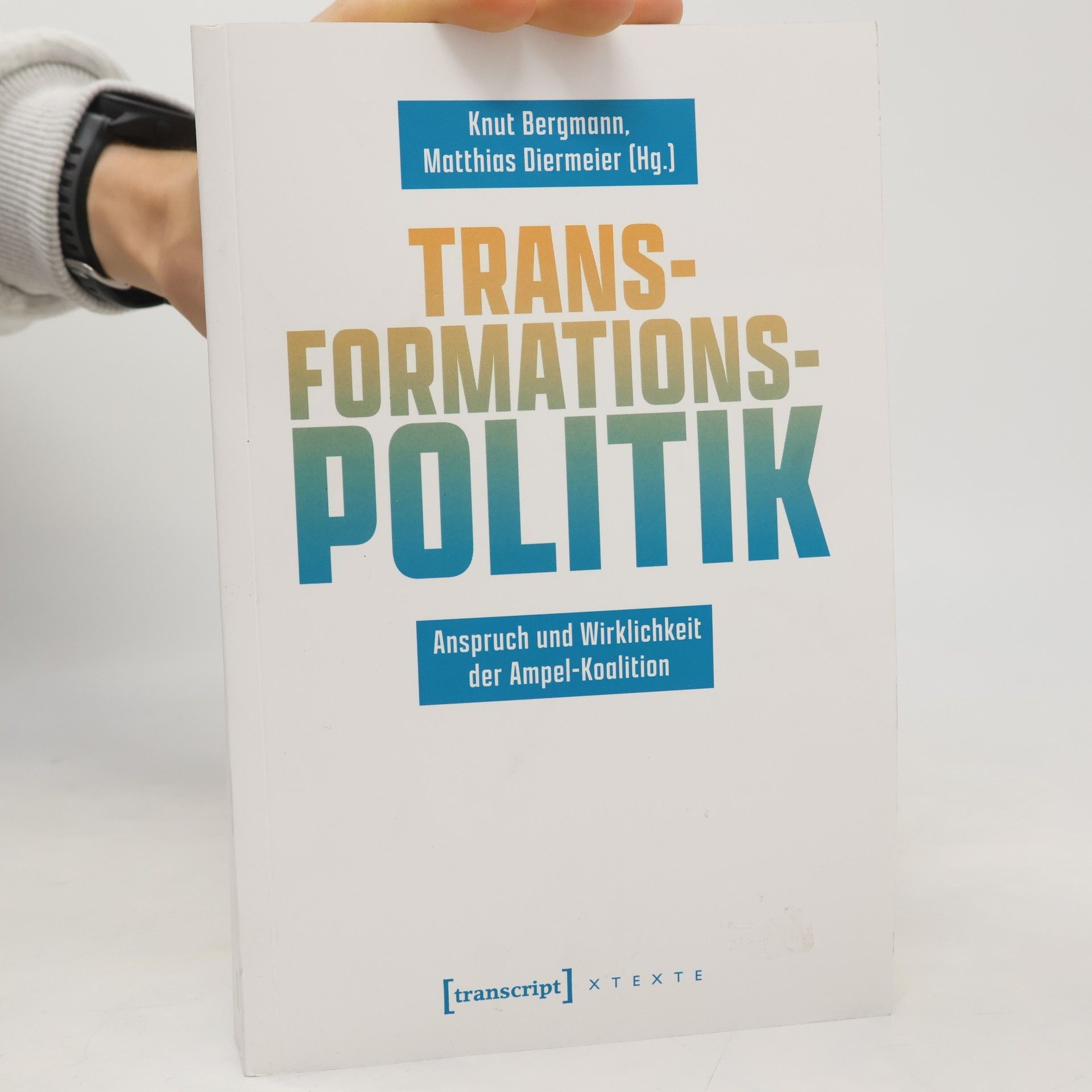 Knut Bergmann Transformationspolitik