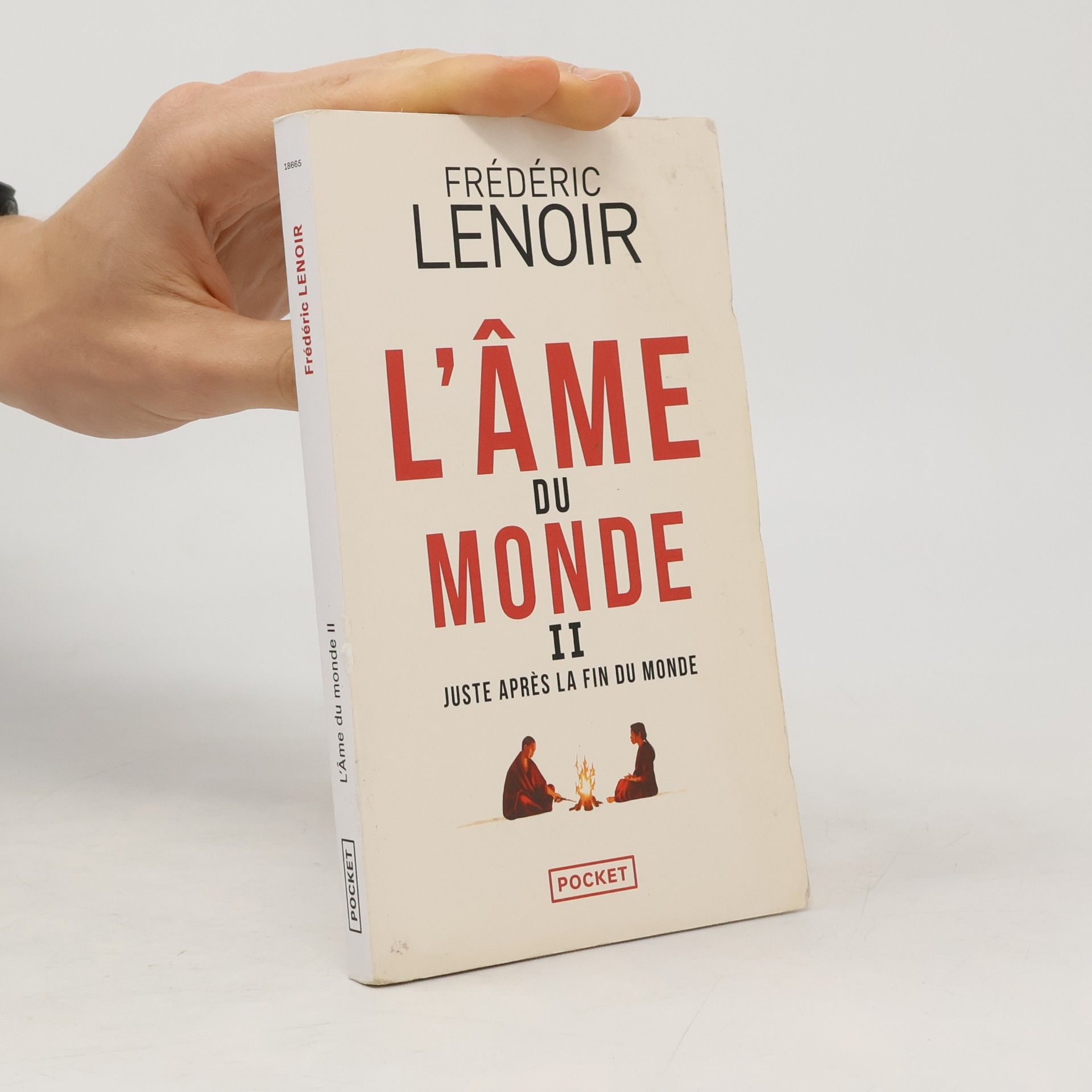 Frédéric Lenoir L'Âme du monde - Tome 2 Juste après la fin du monde