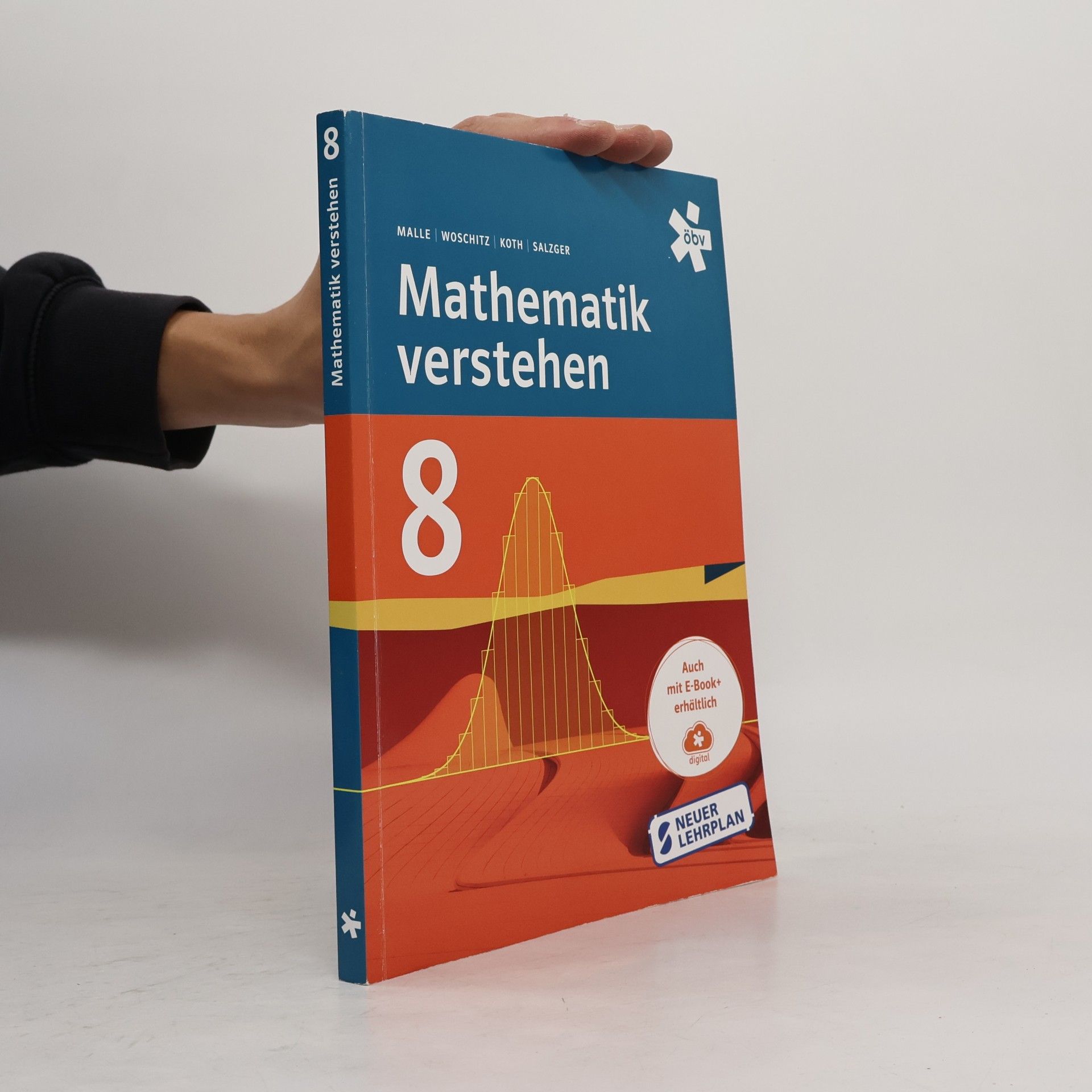 Mathematik verstehen 8