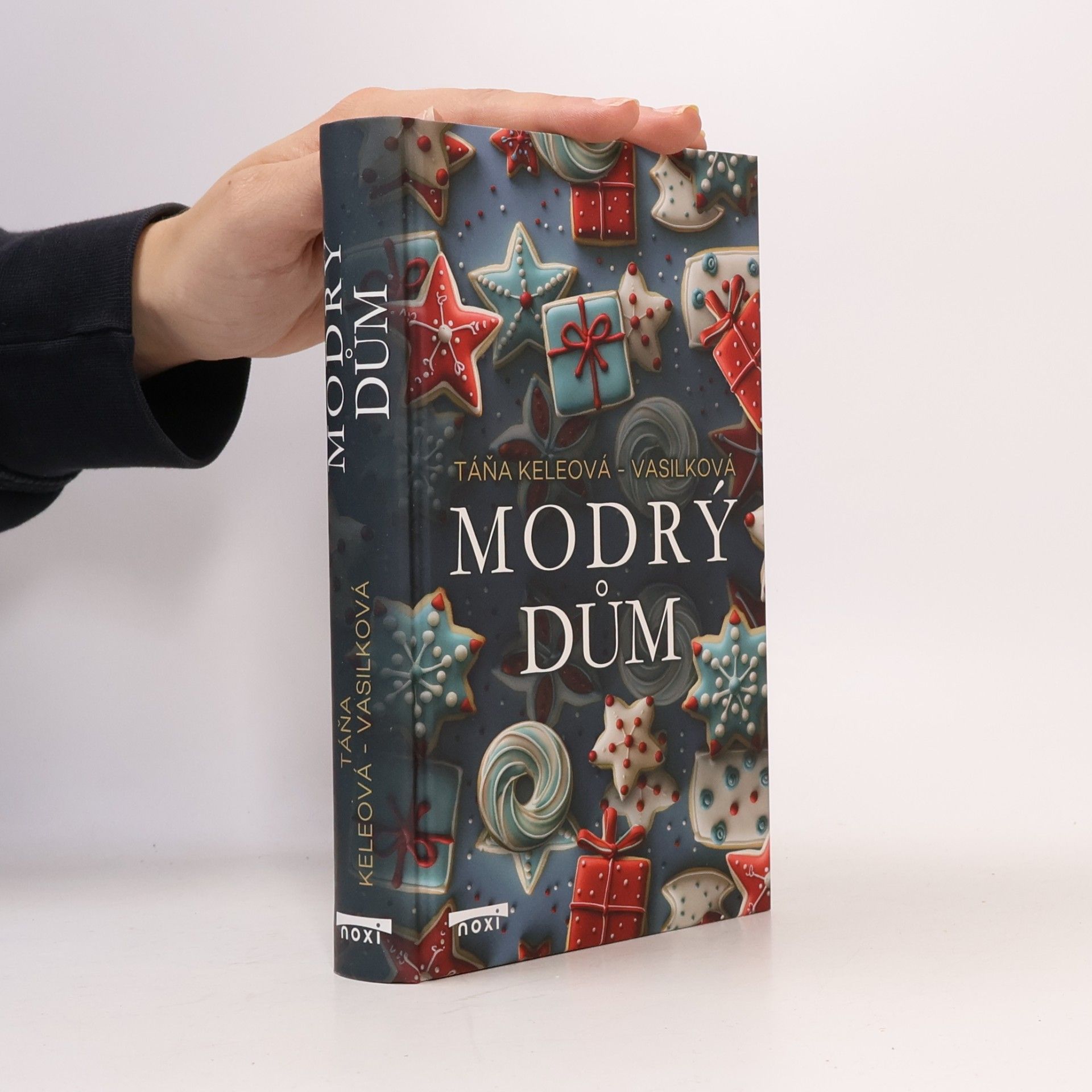 Táňa Keleová-Vasilková Modrý dům