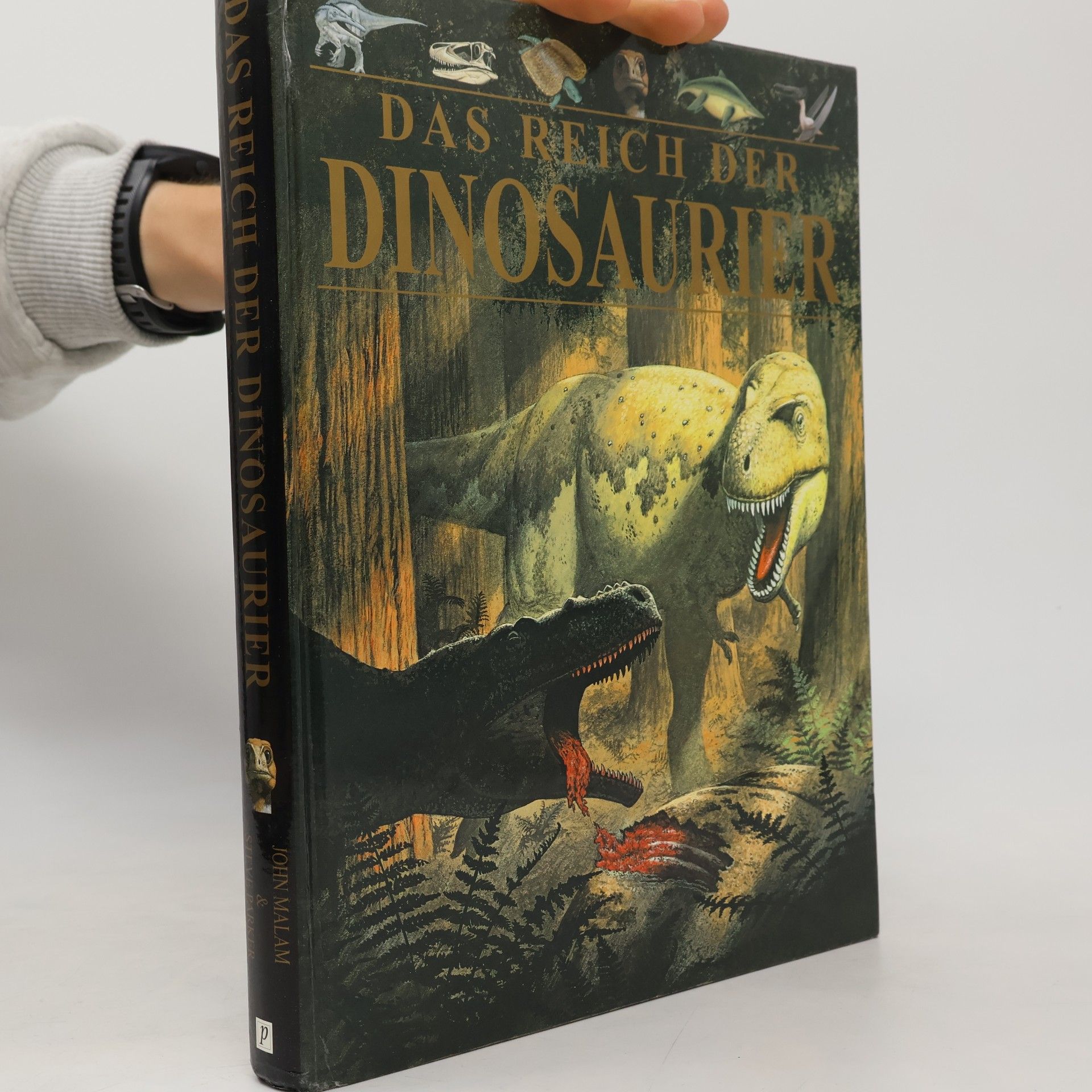 John Malam Das Reich der Dinosaurier