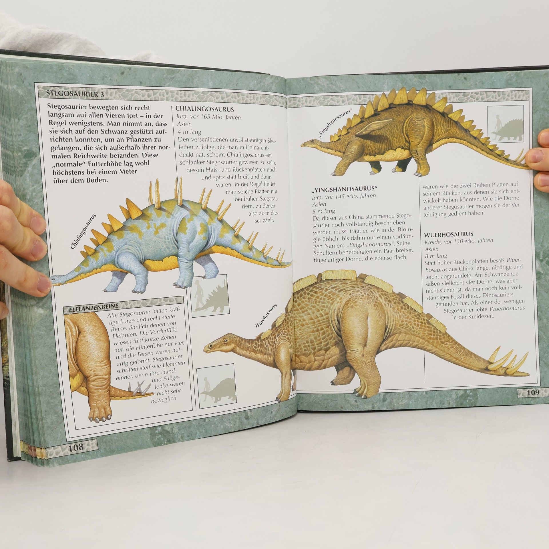 John Malam Das Reich der Dinosaurier