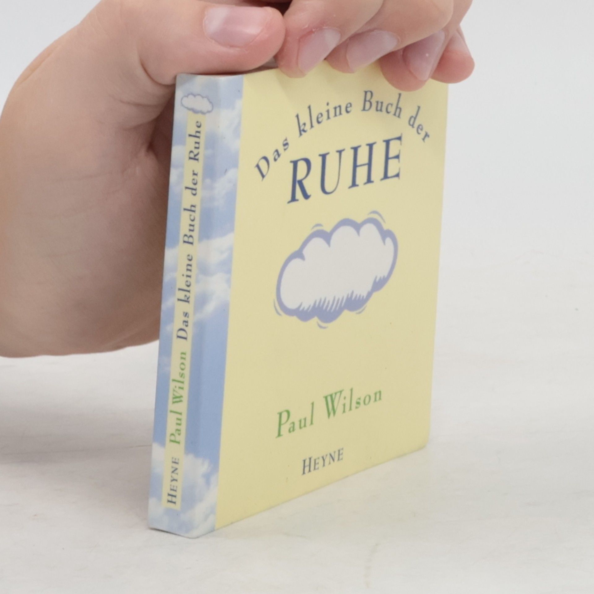 Paul Wilson Das kleine Buch der Ruhe