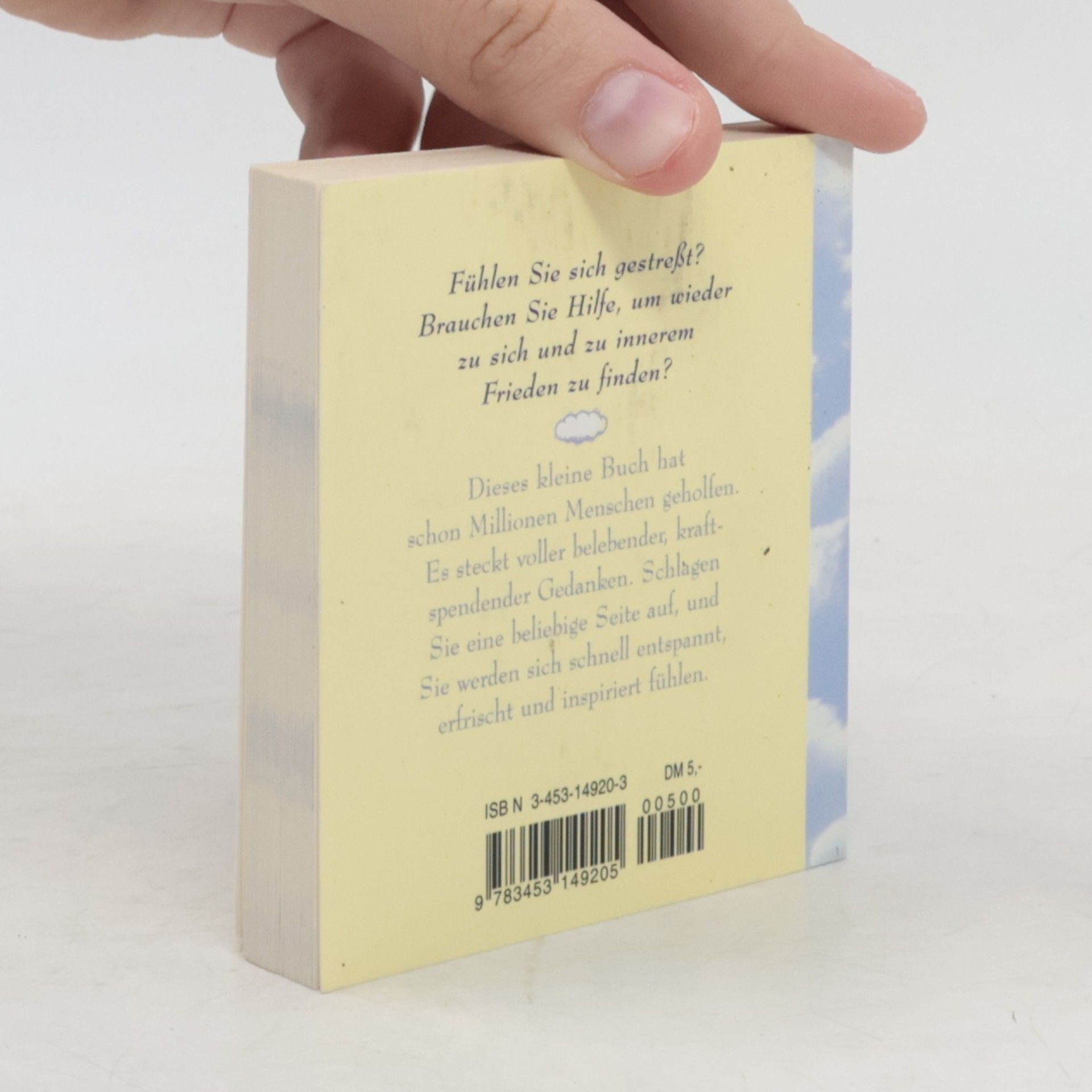 Paul Wilson Das kleine Buch der Ruhe