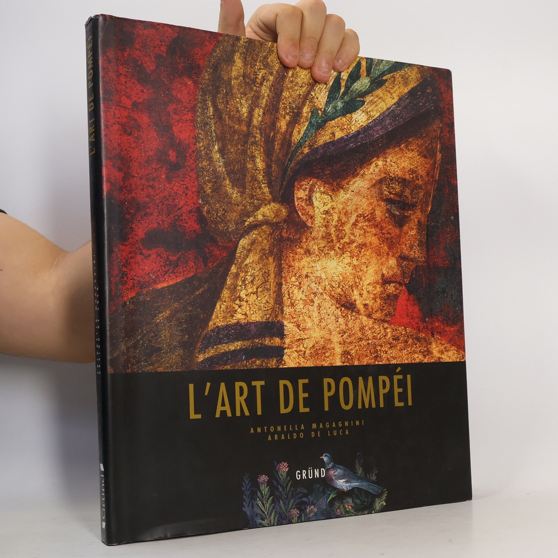 Araldo De Luca L'art de Pompéi