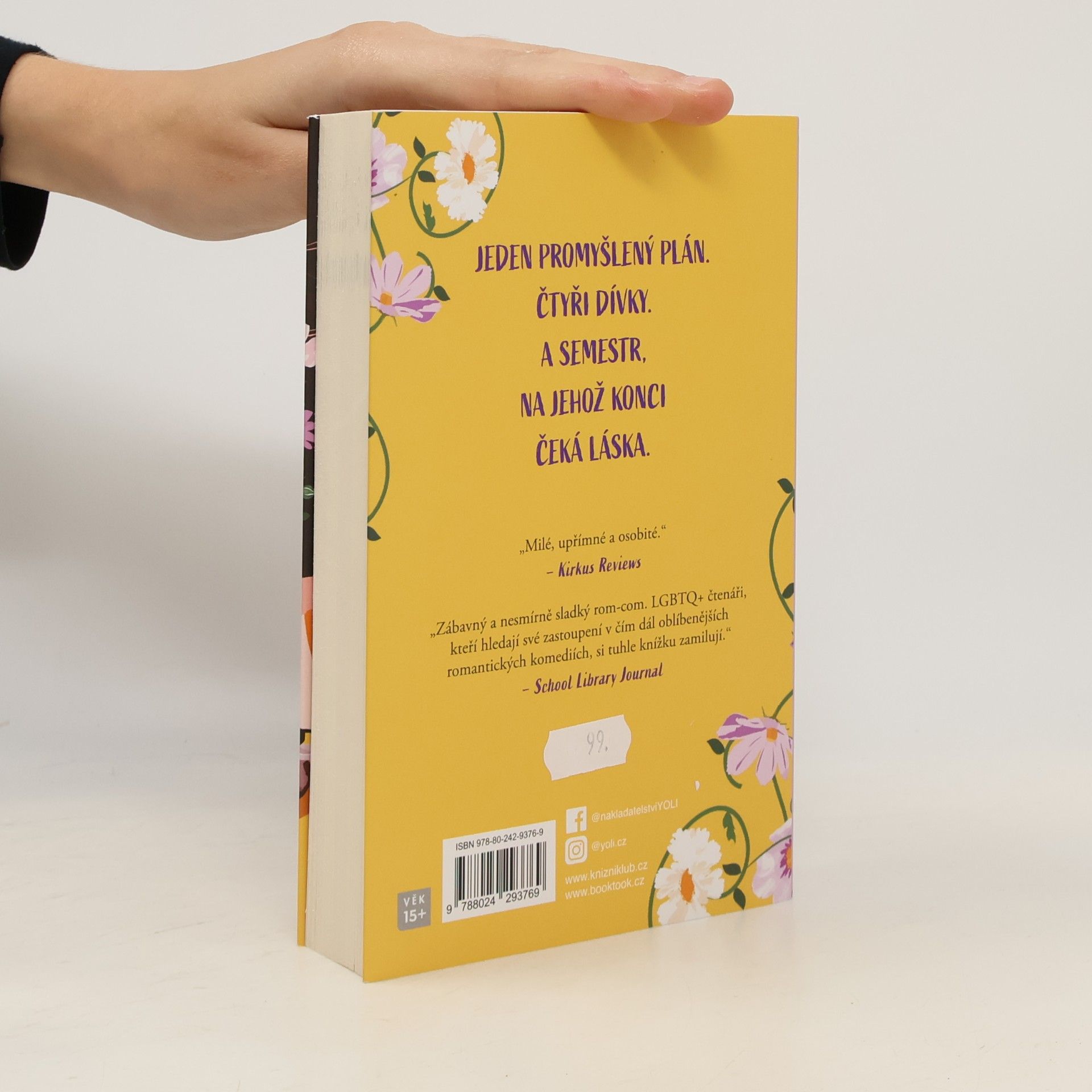 Rachael Lippincott Holka mých snů
