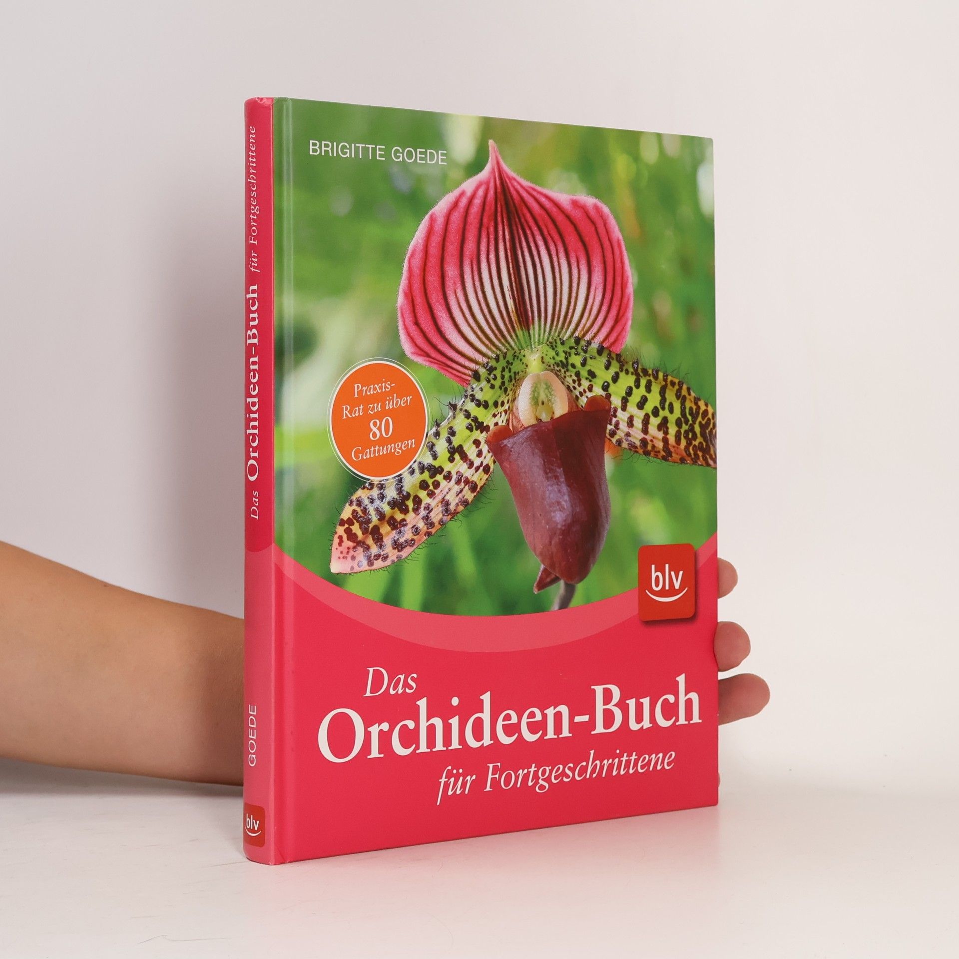 Brigitte Goede Das Orchideen-Buch für Fortgeschrittene