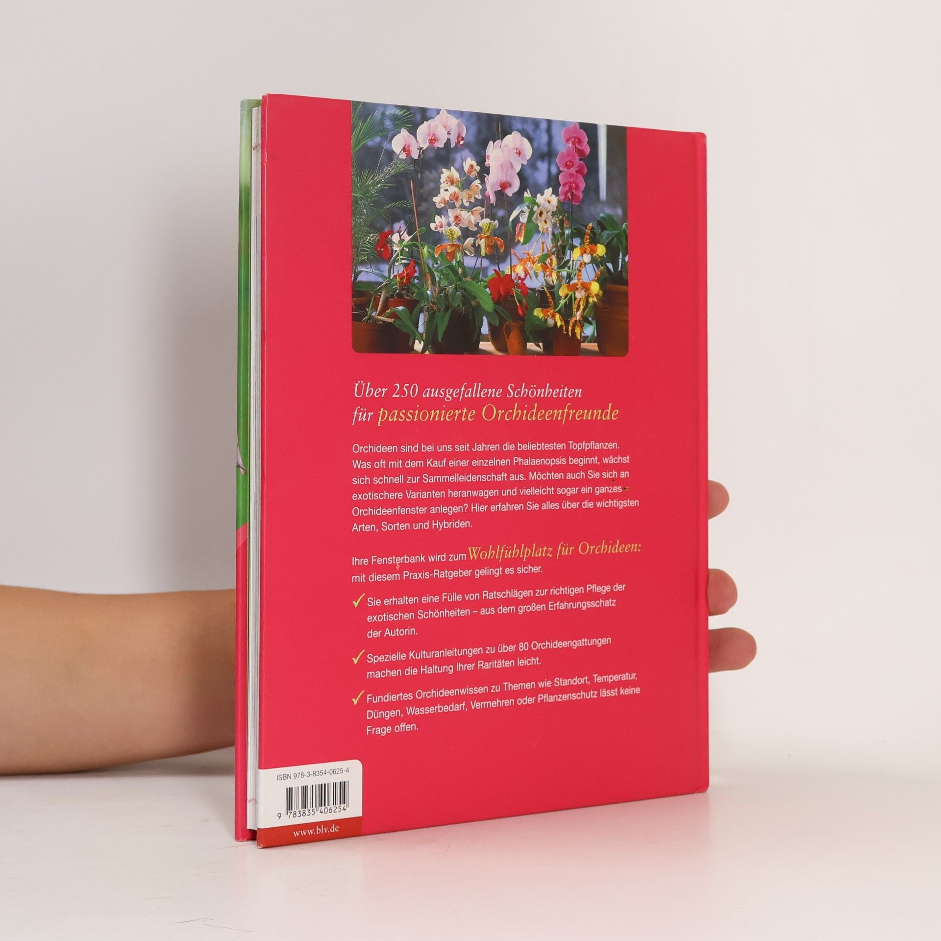 Brigitte Goede Das Orchideen-Buch für Fortgeschrittene